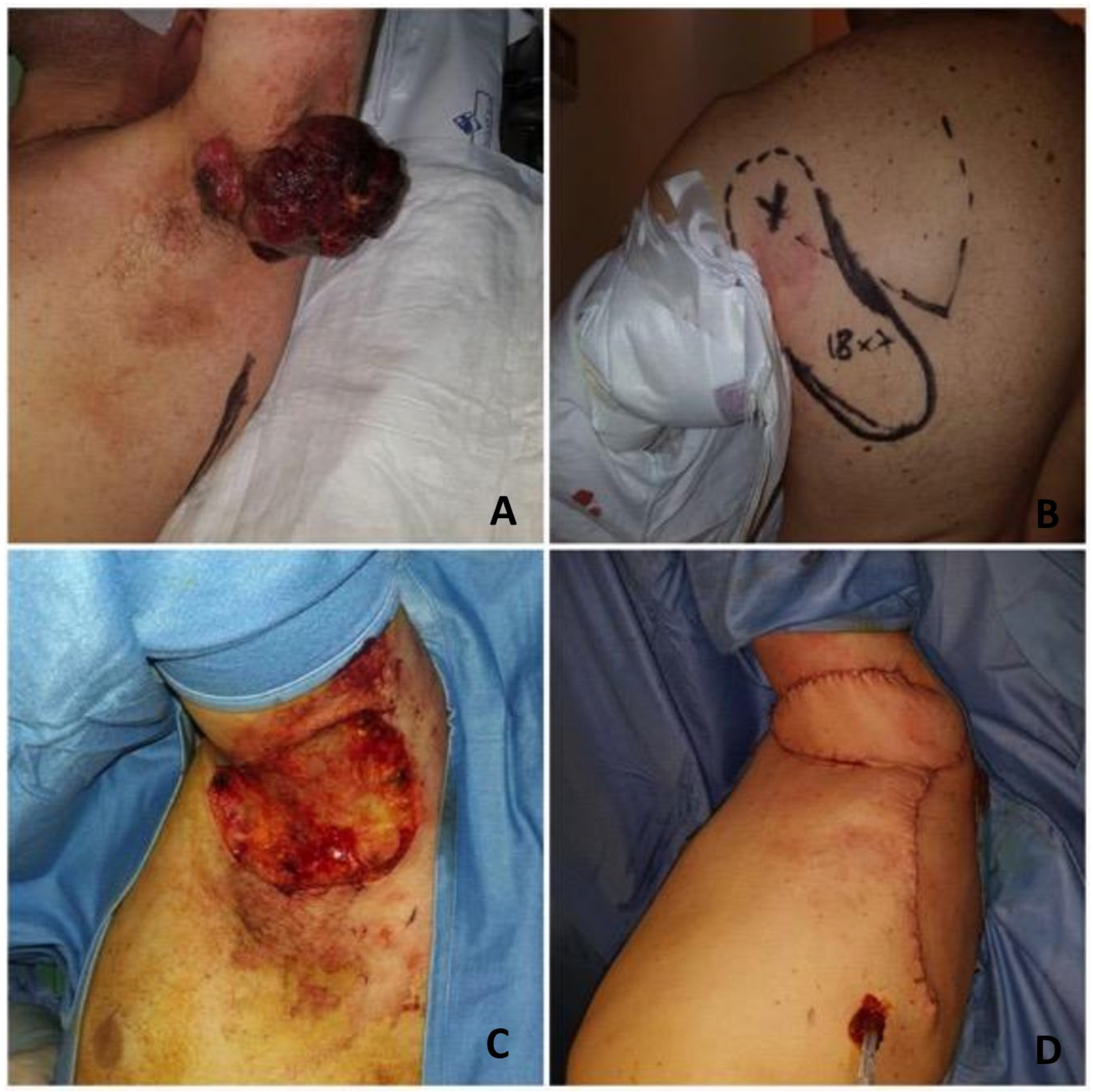 Healthcare 12 02043 g006