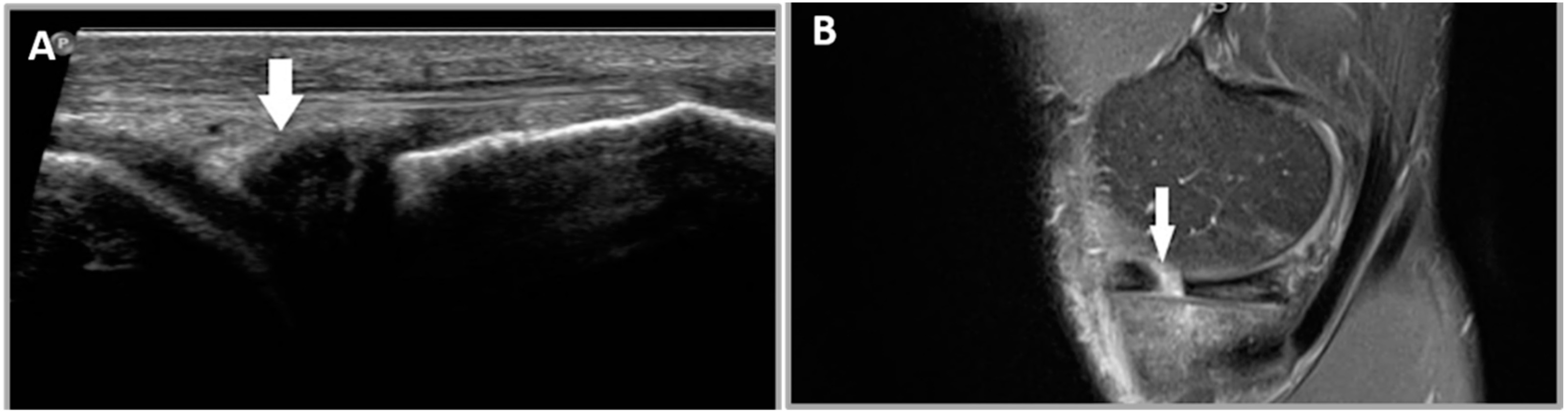 Healthcare 12 02051 g002 Healthcare 12 02051 g002