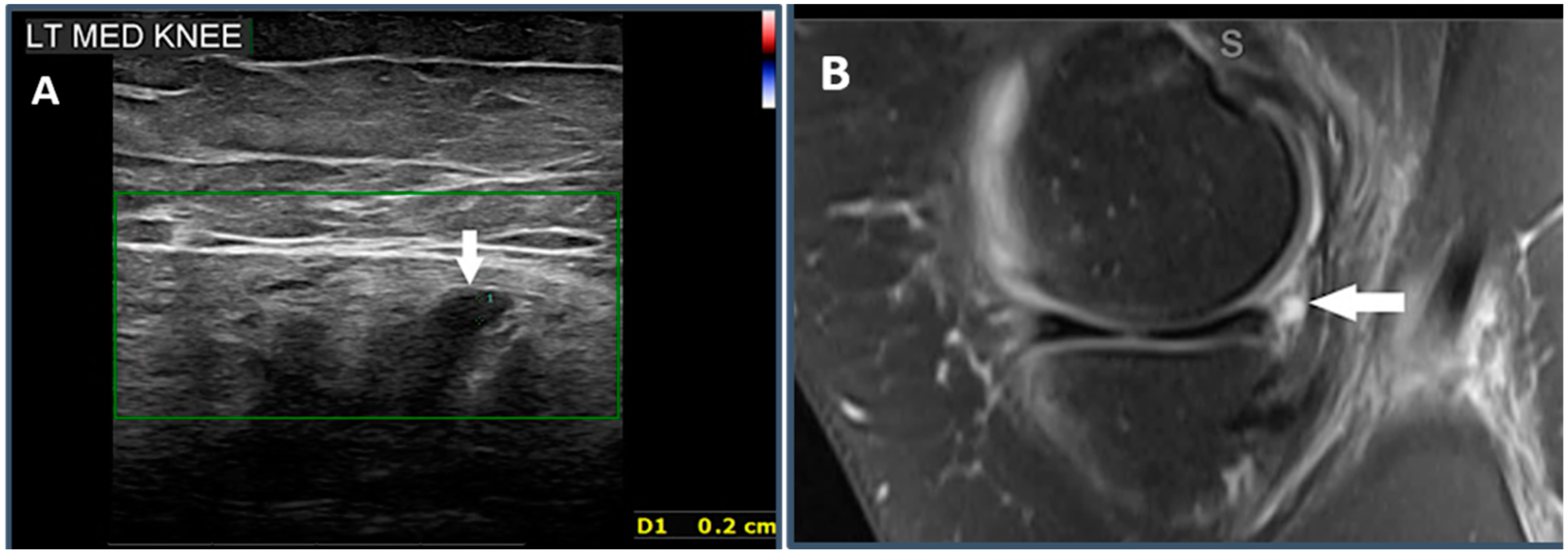 Healthcare 12 02051 g003 Healthcare 12 02051 g003
