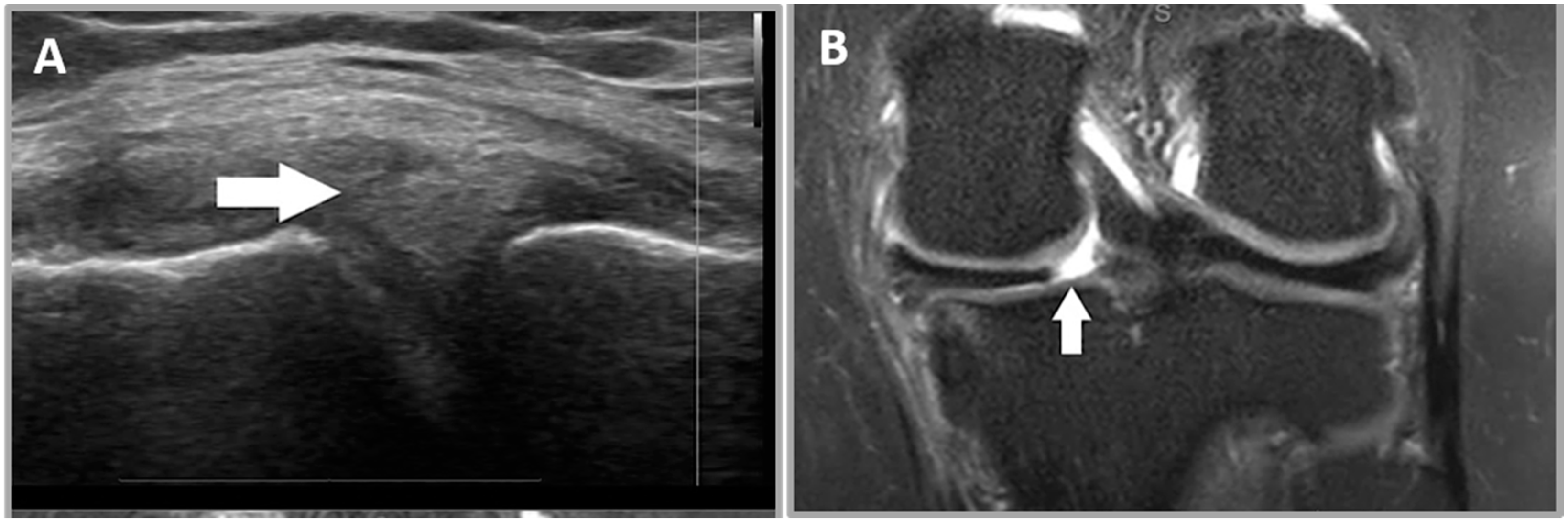 Healthcare 12 02051 g006 Healthcare 12 02051 g006