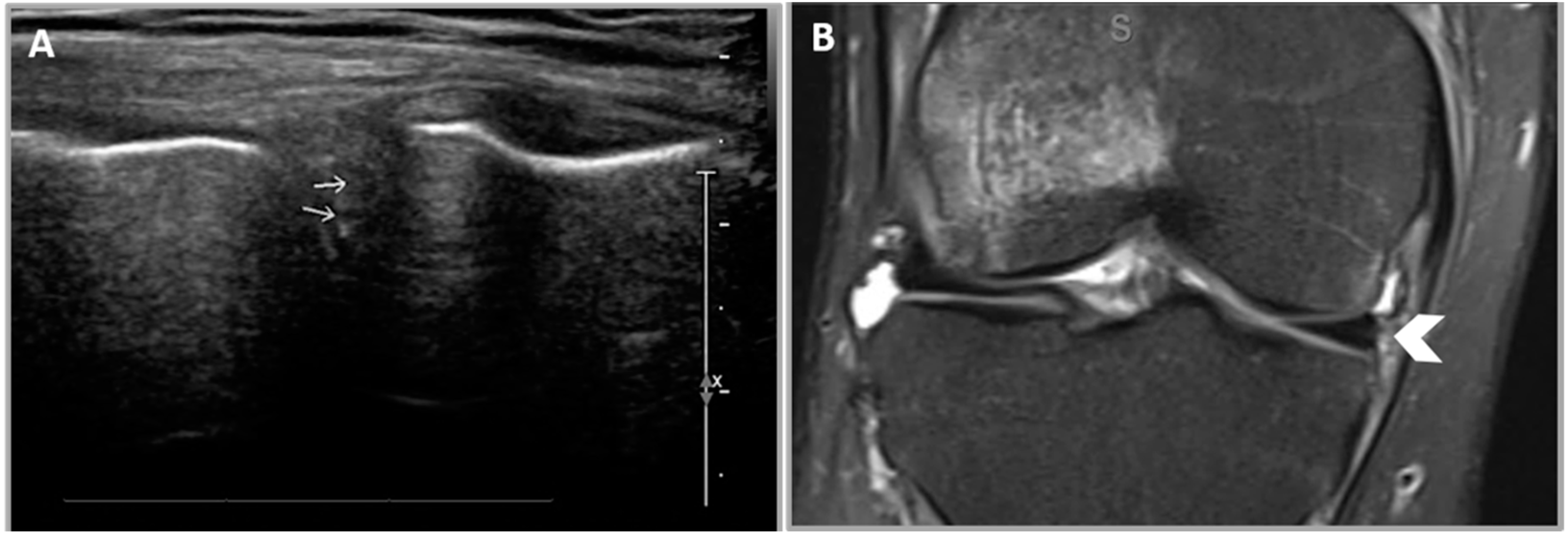 Healthcare 12 02051 g008 Healthcare 12 02051 g008