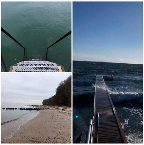 Winter Bathing in Denmark A Qualitative Case Study on Winter Bathing’s