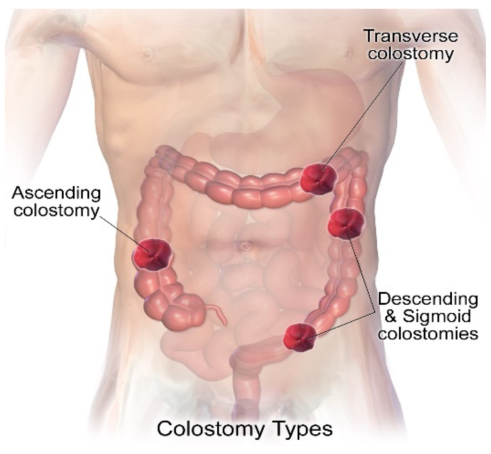 Healthcare 12 02175 g003 Healthcare 12 02175 g003