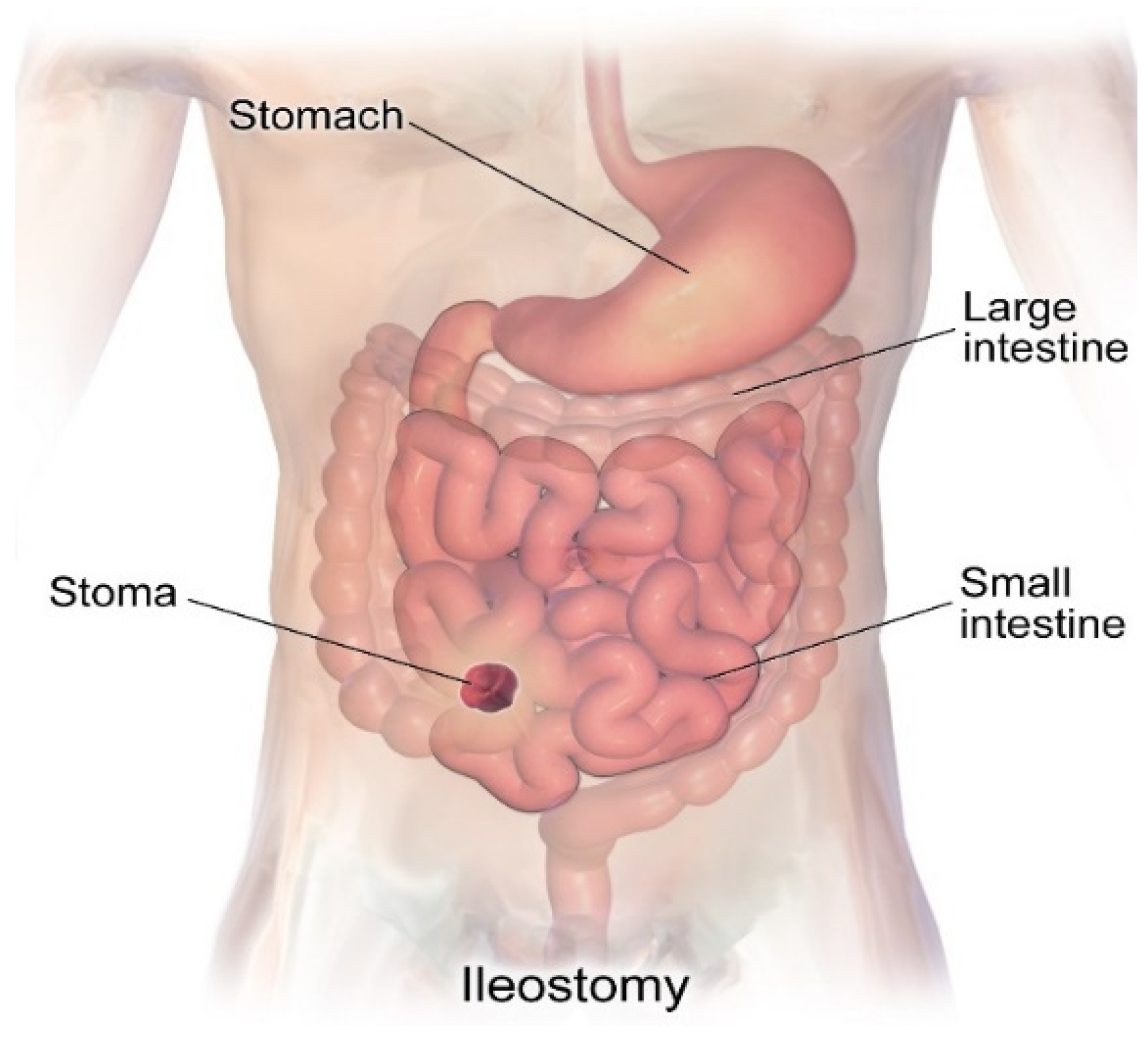 Healthcare 12 02175 g004 Healthcare 12 02175 g004