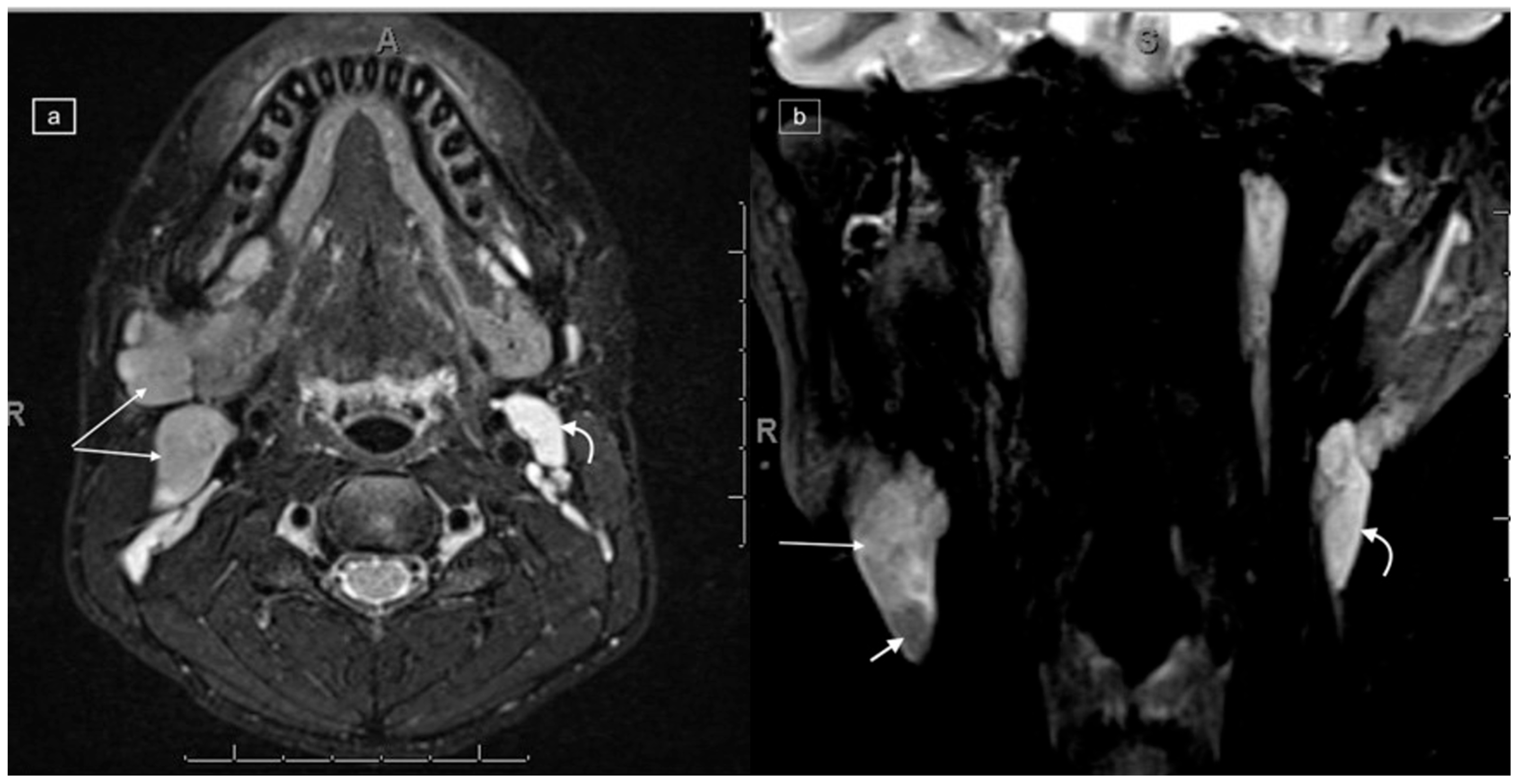 Healthcare 12 02180 g002