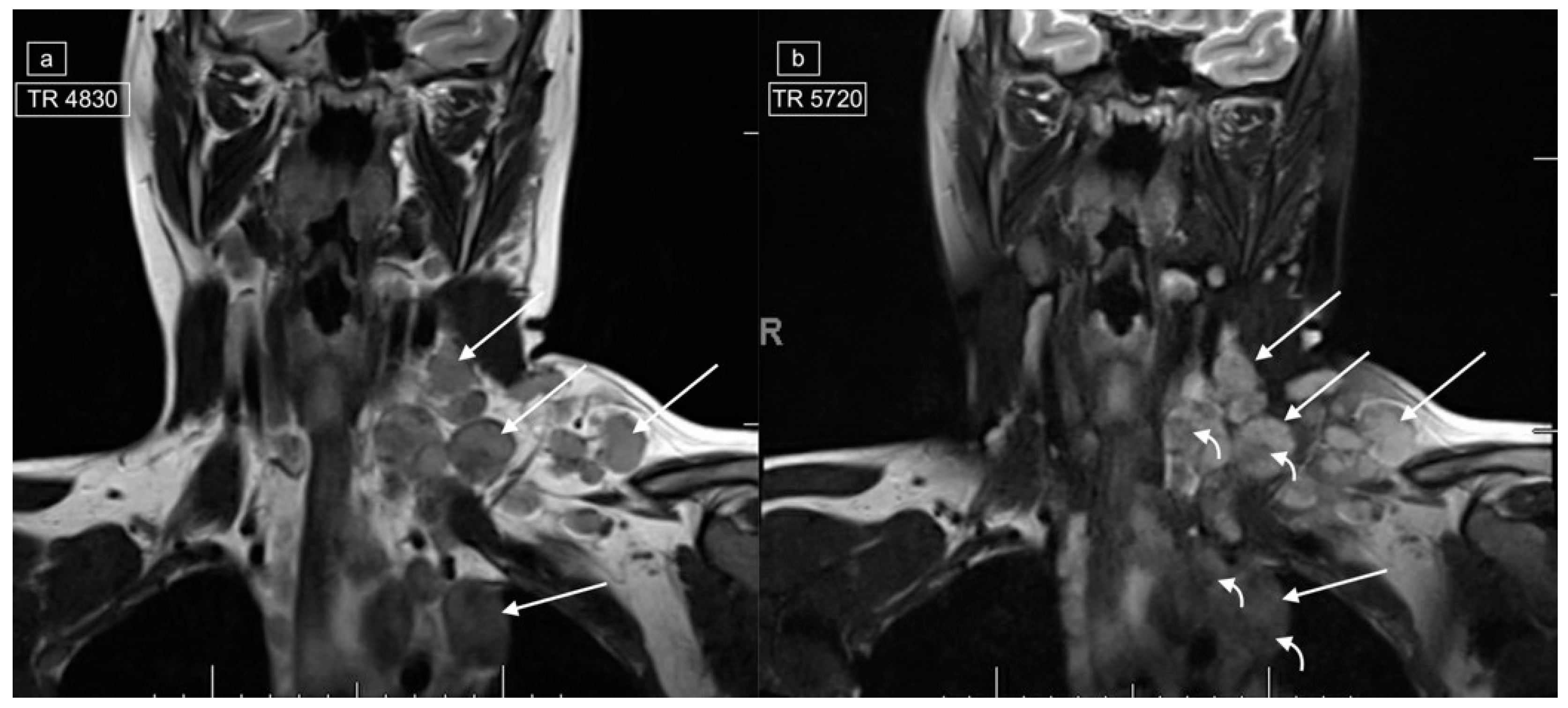 Healthcare 12 02180 g003