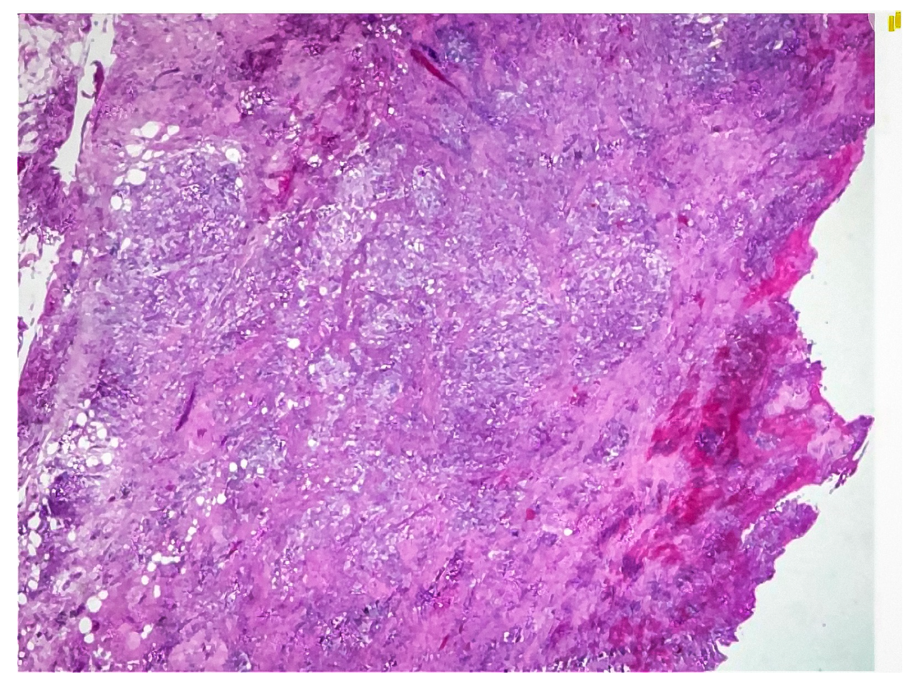 Healthcare 12 02184 g003