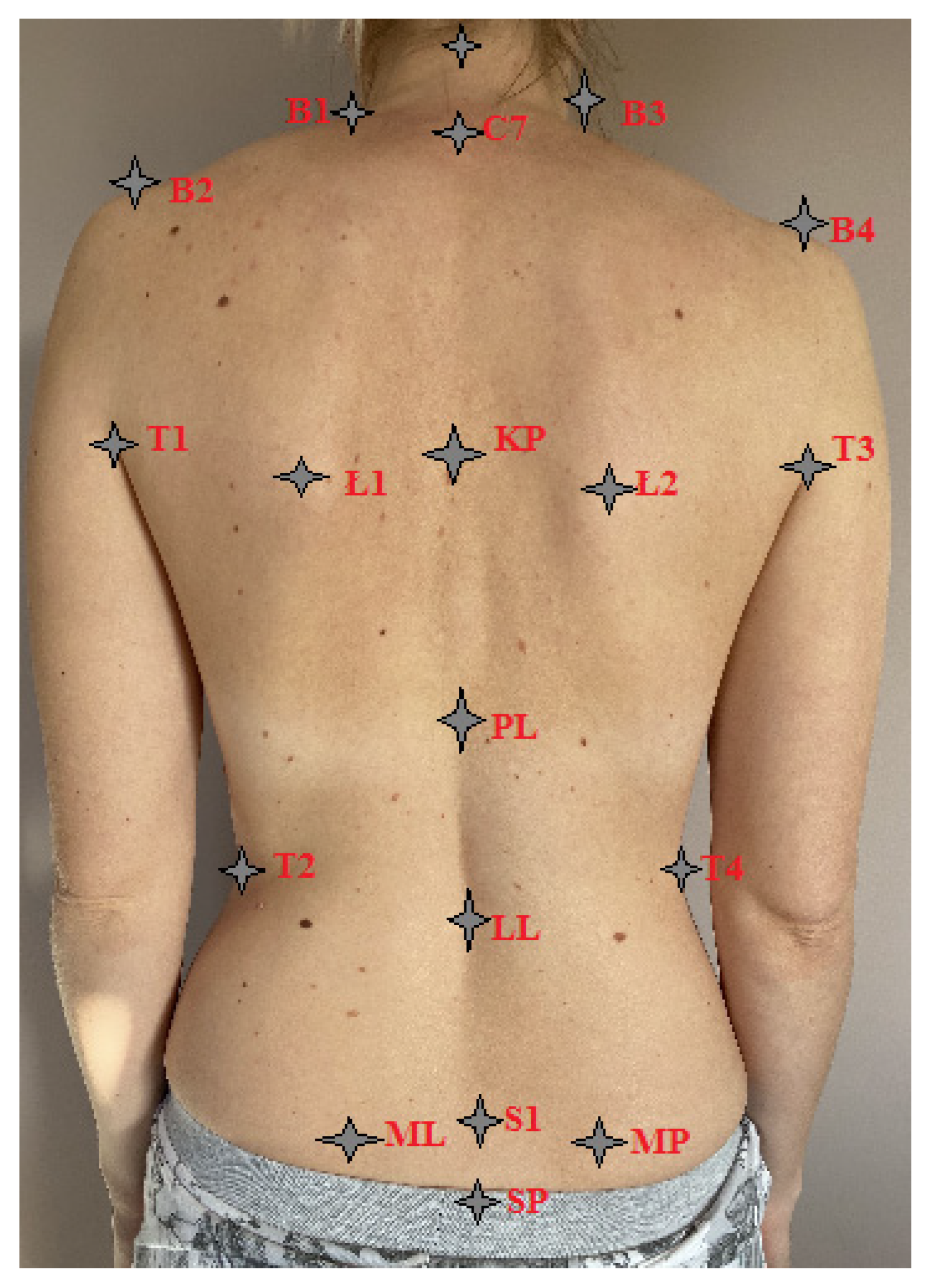 Healthcare 12 02202 g002