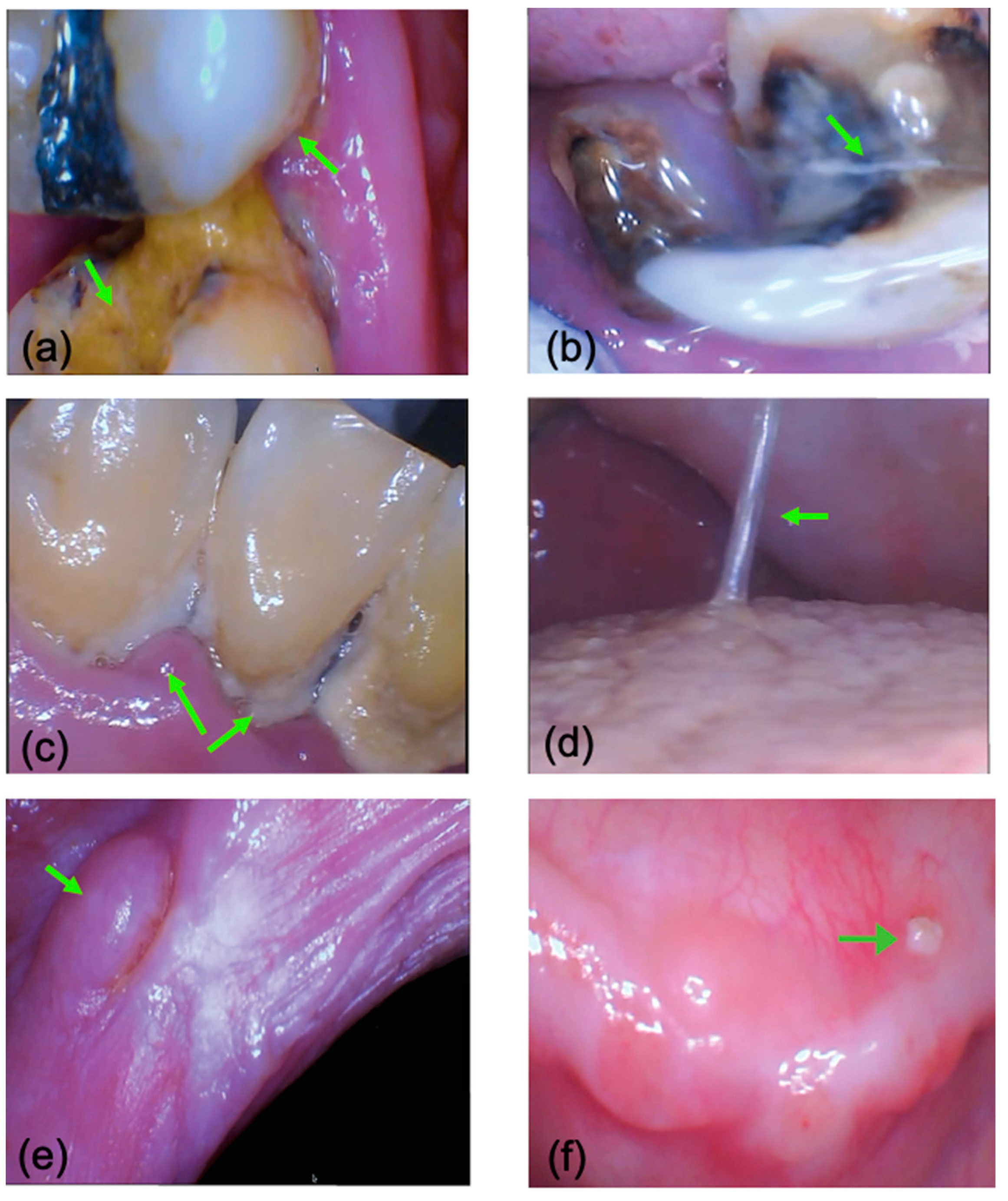 Healthcare 12 02216 g004