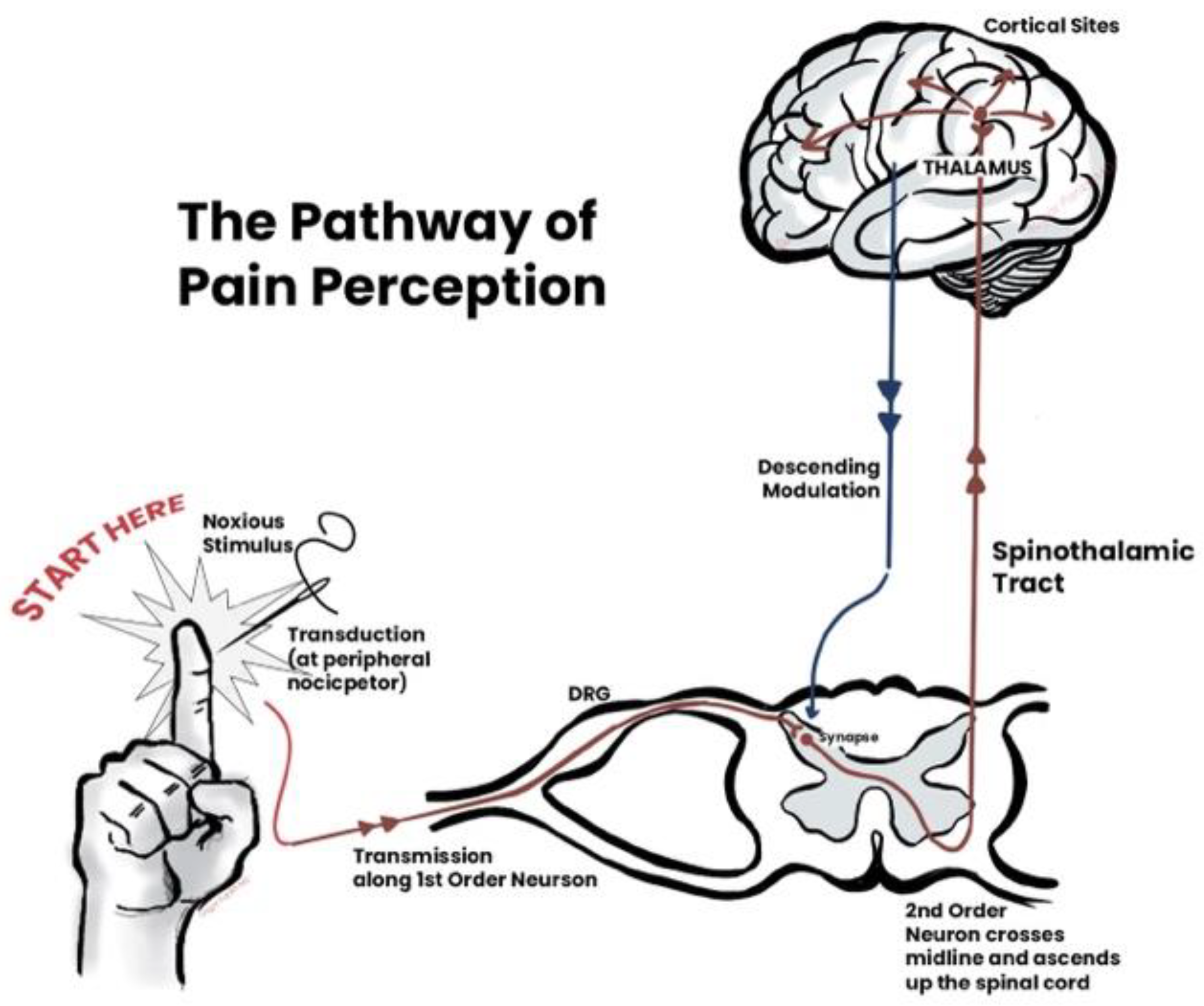 Healthcare 12 02314 g003