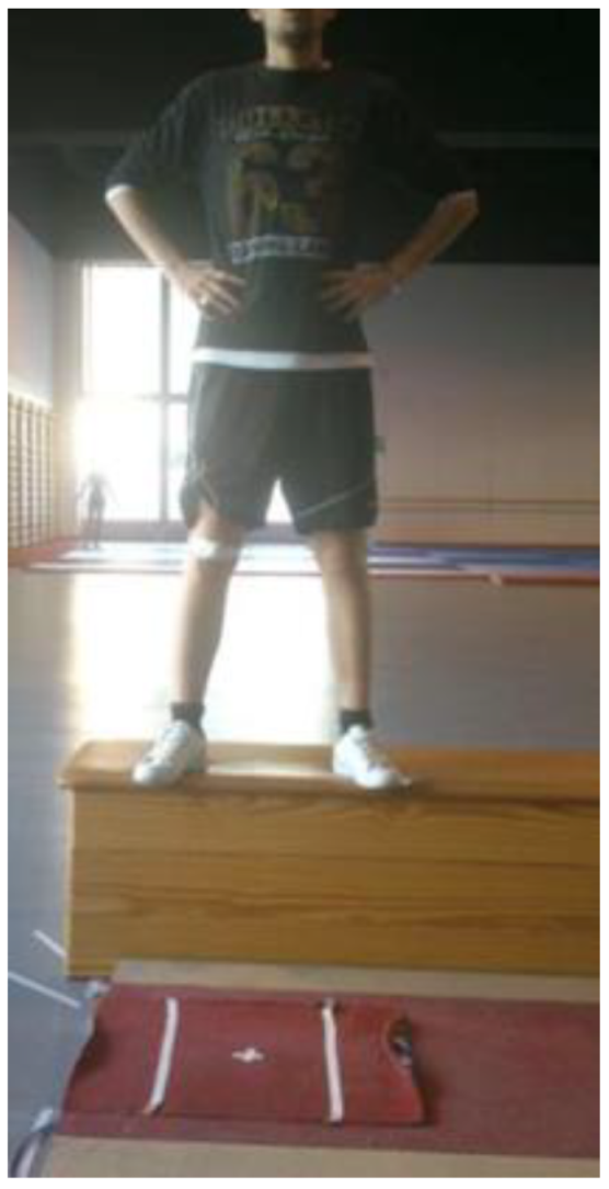 Healthcare 12 02327 g001