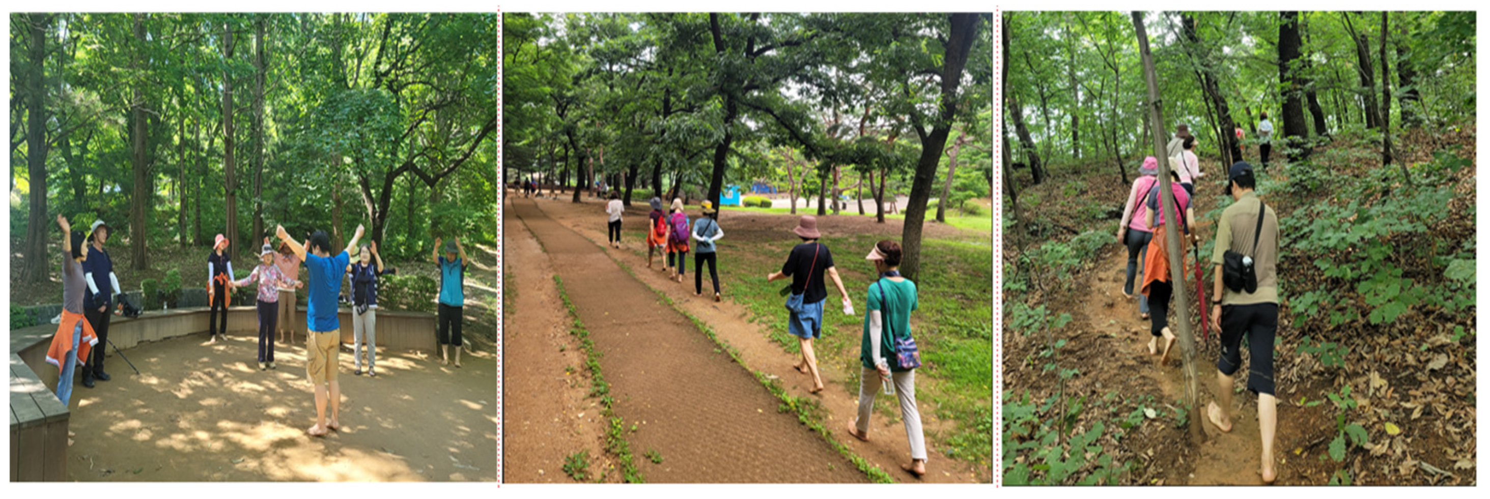 Healthcare 12 02372 g003