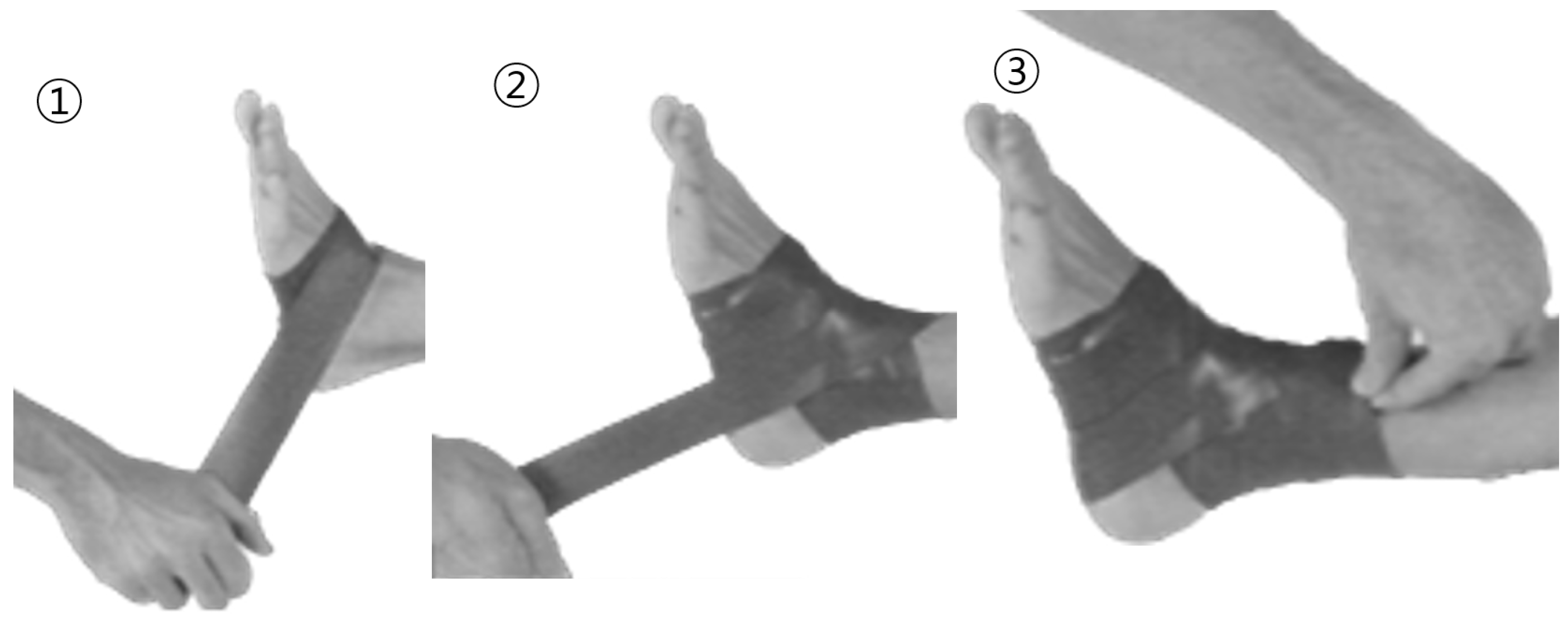 Healthcare 12 02384 g002