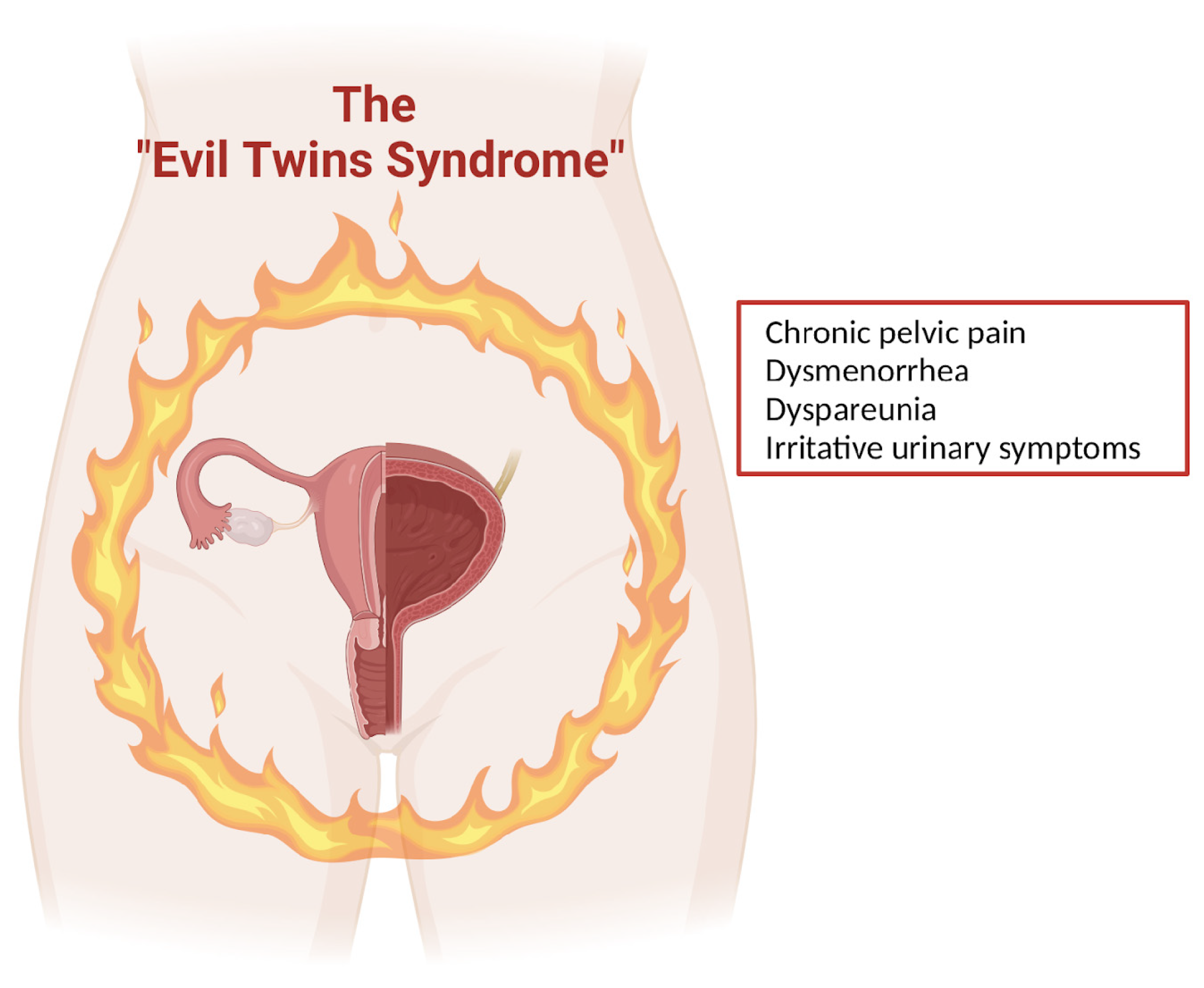Healthcare 12 02403 g003 Healthcare 12 02403 g003