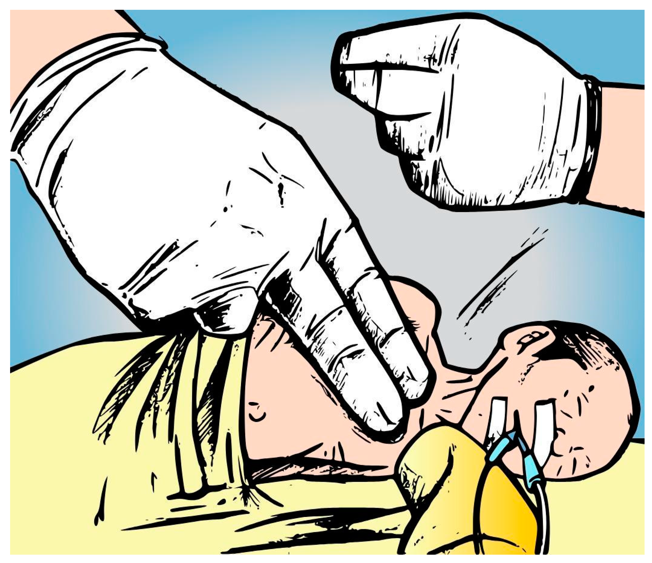 Healthcare 12 02408 g002