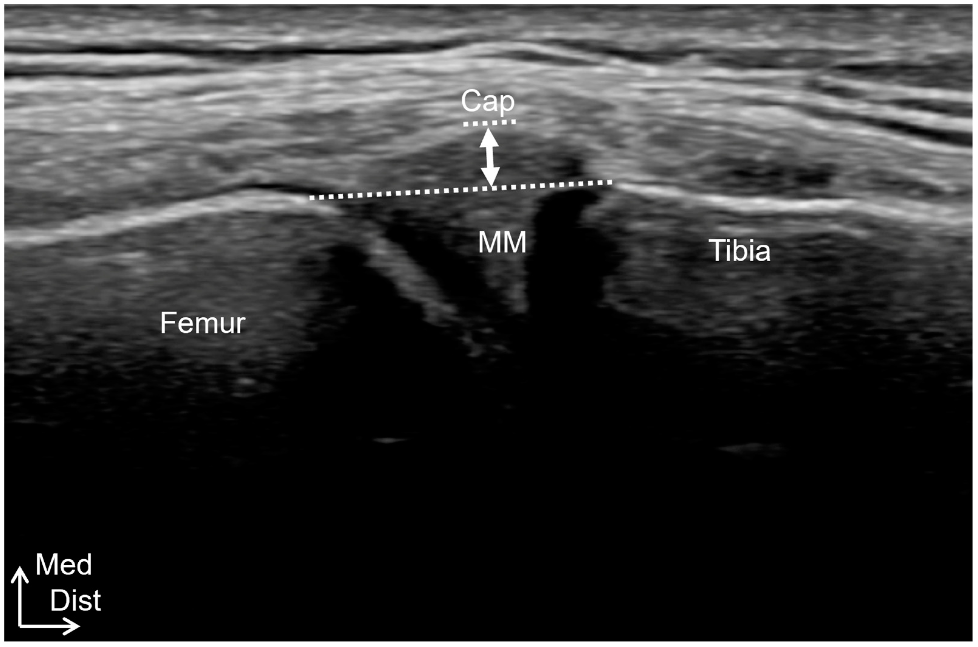 Healthcare 12 02412 g003