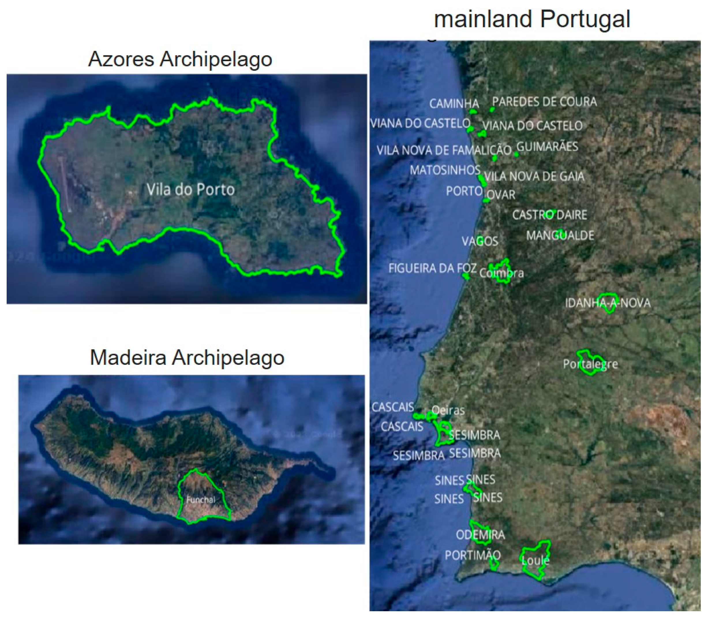 Healthcare 12 02441 g001