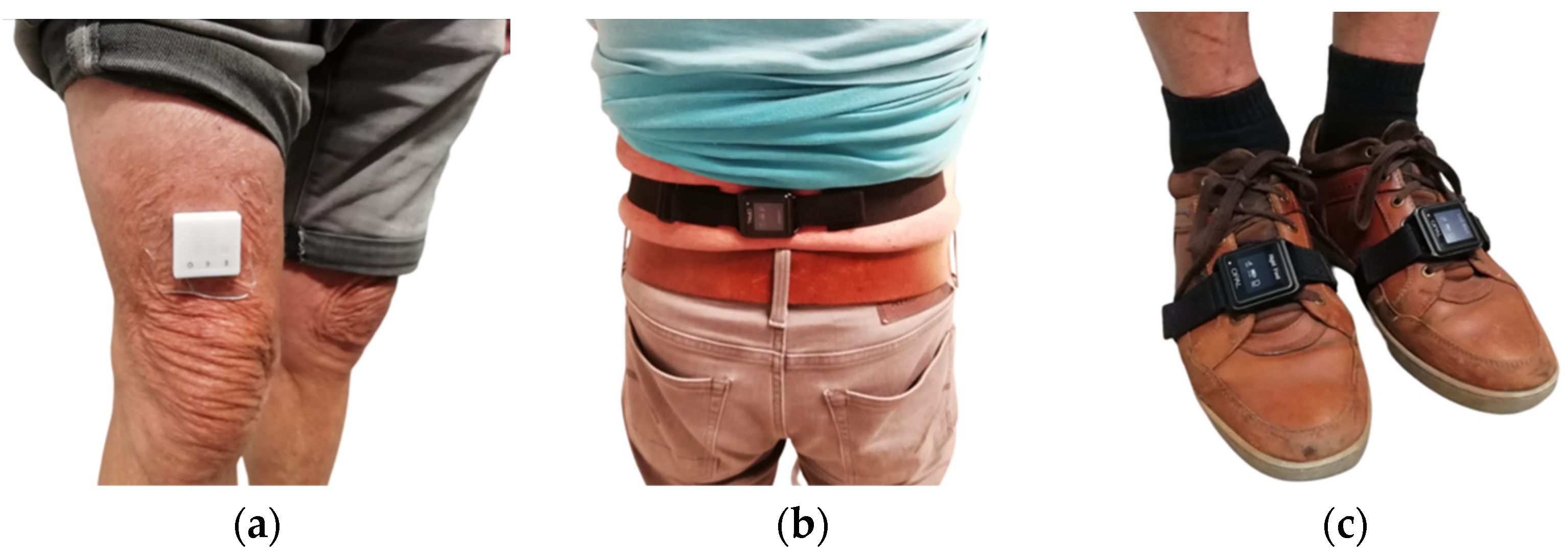 Healthcare 12 02575 g002