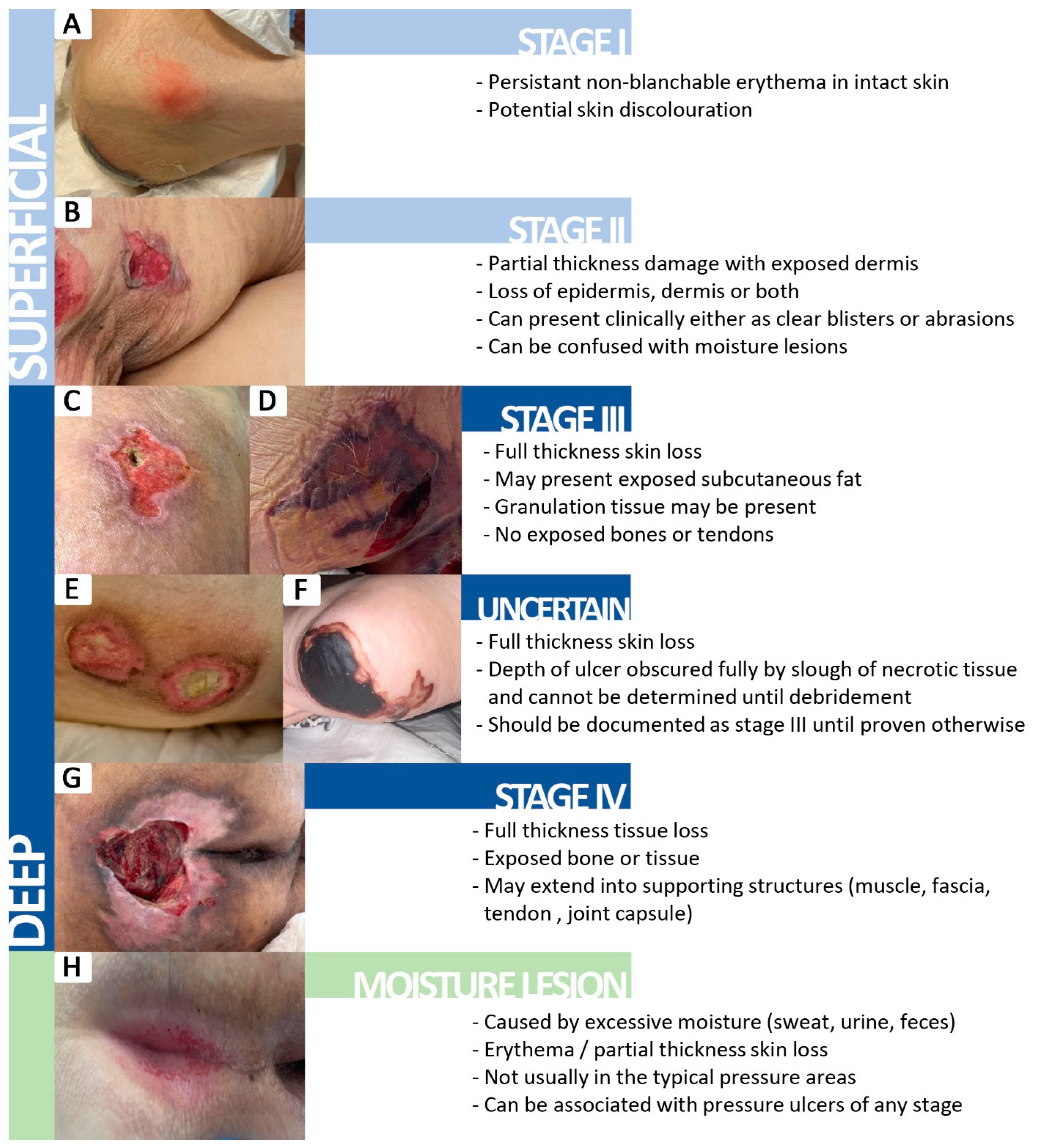 Healthcare 12 02583 g001 Healthcare 12 02583 g001