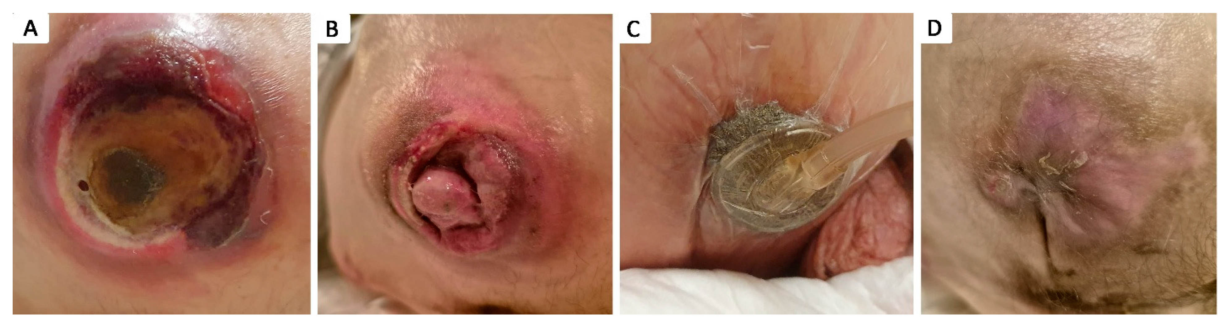 Healthcare 12 02583 g004 Healthcare 12 02583 g004