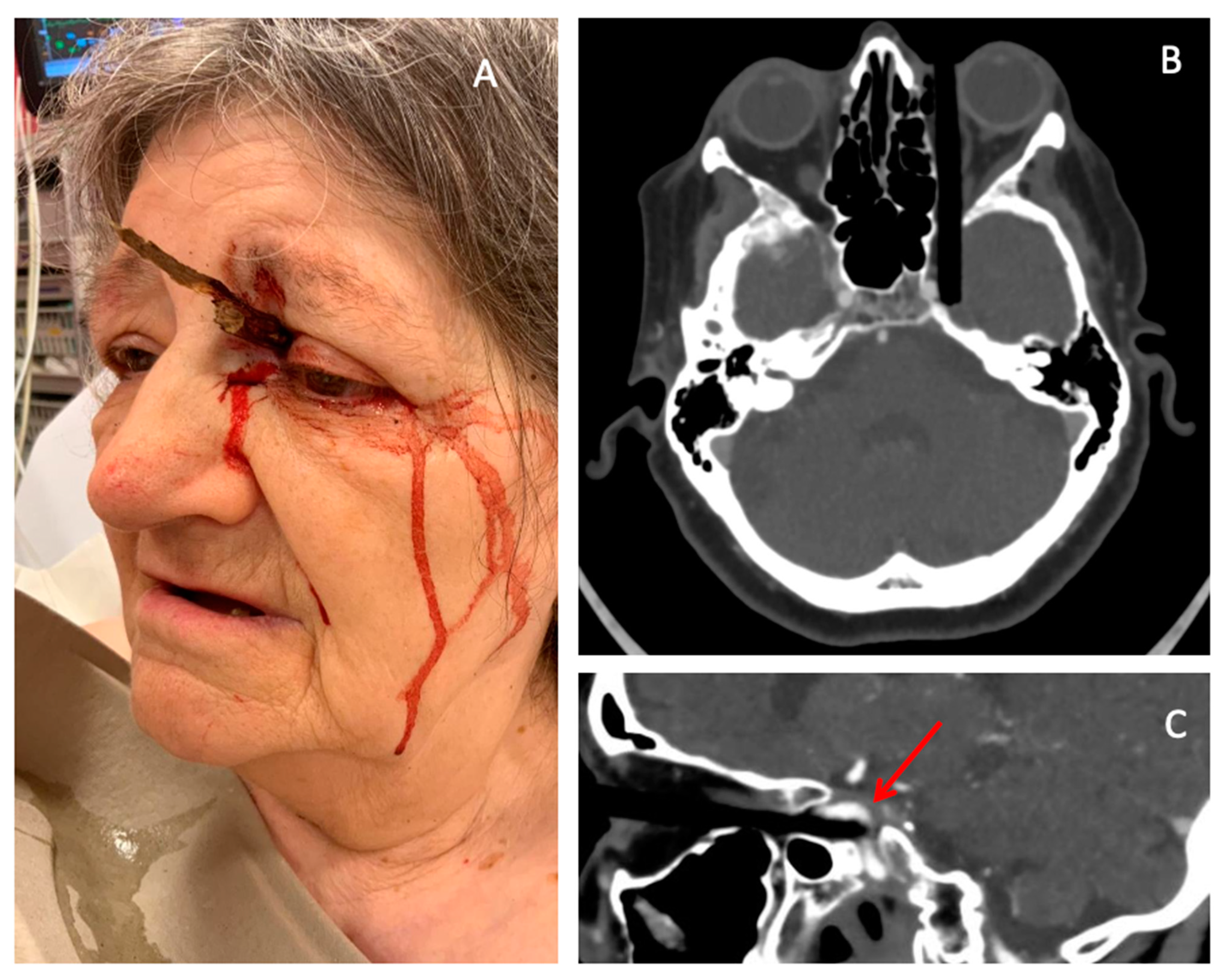 Healthcare 13 00098 g001