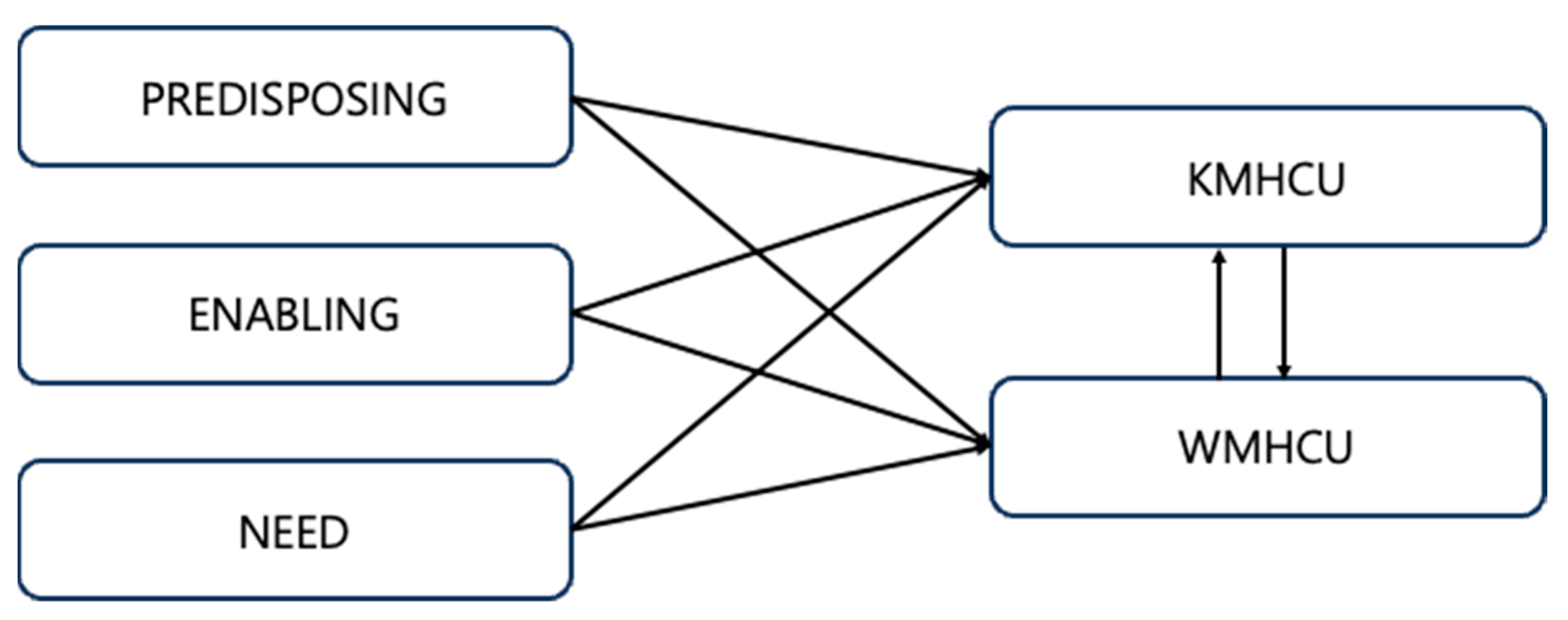 Healthcare 13 00182 g001