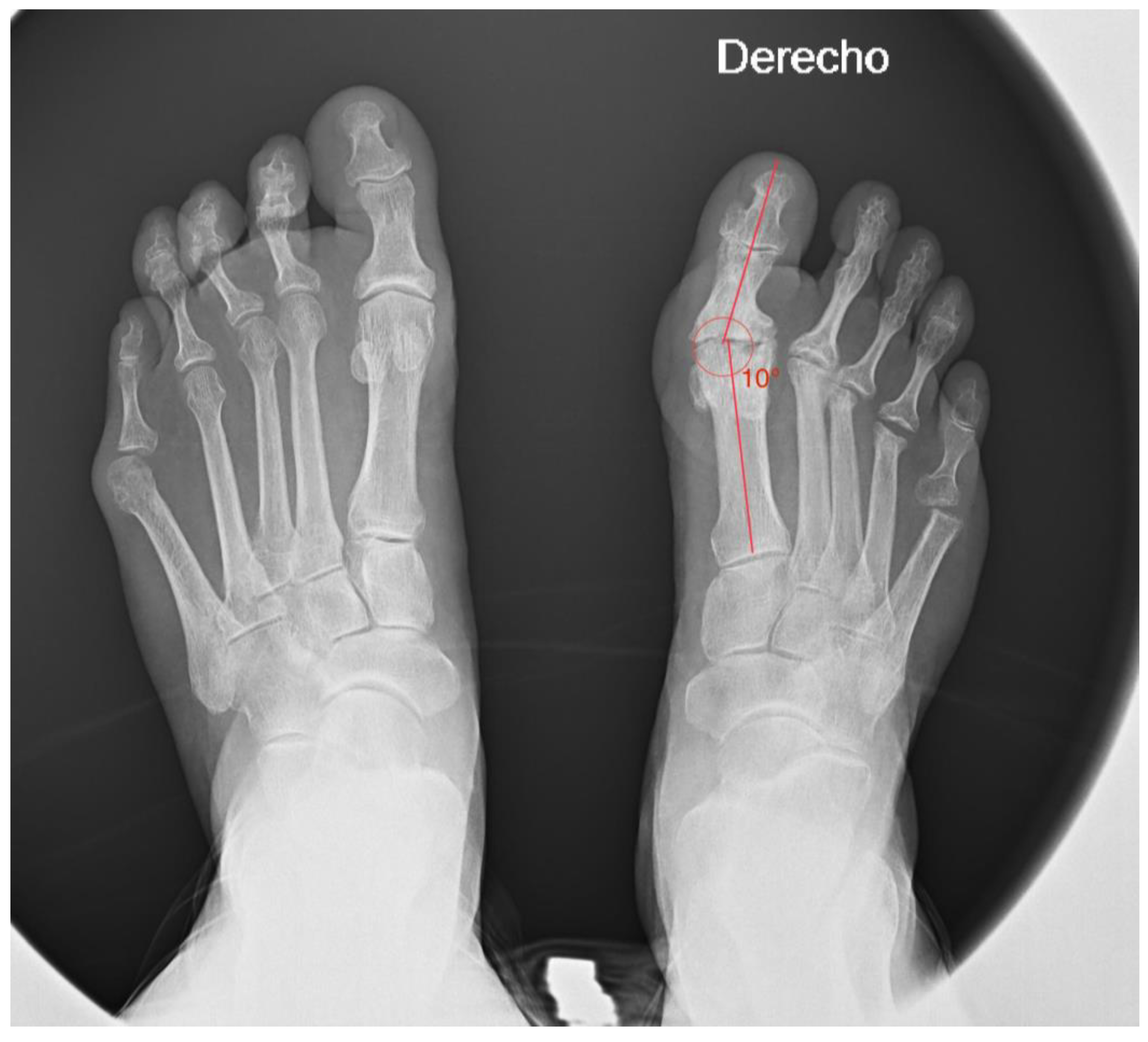 Healthcare 13 00217 g004