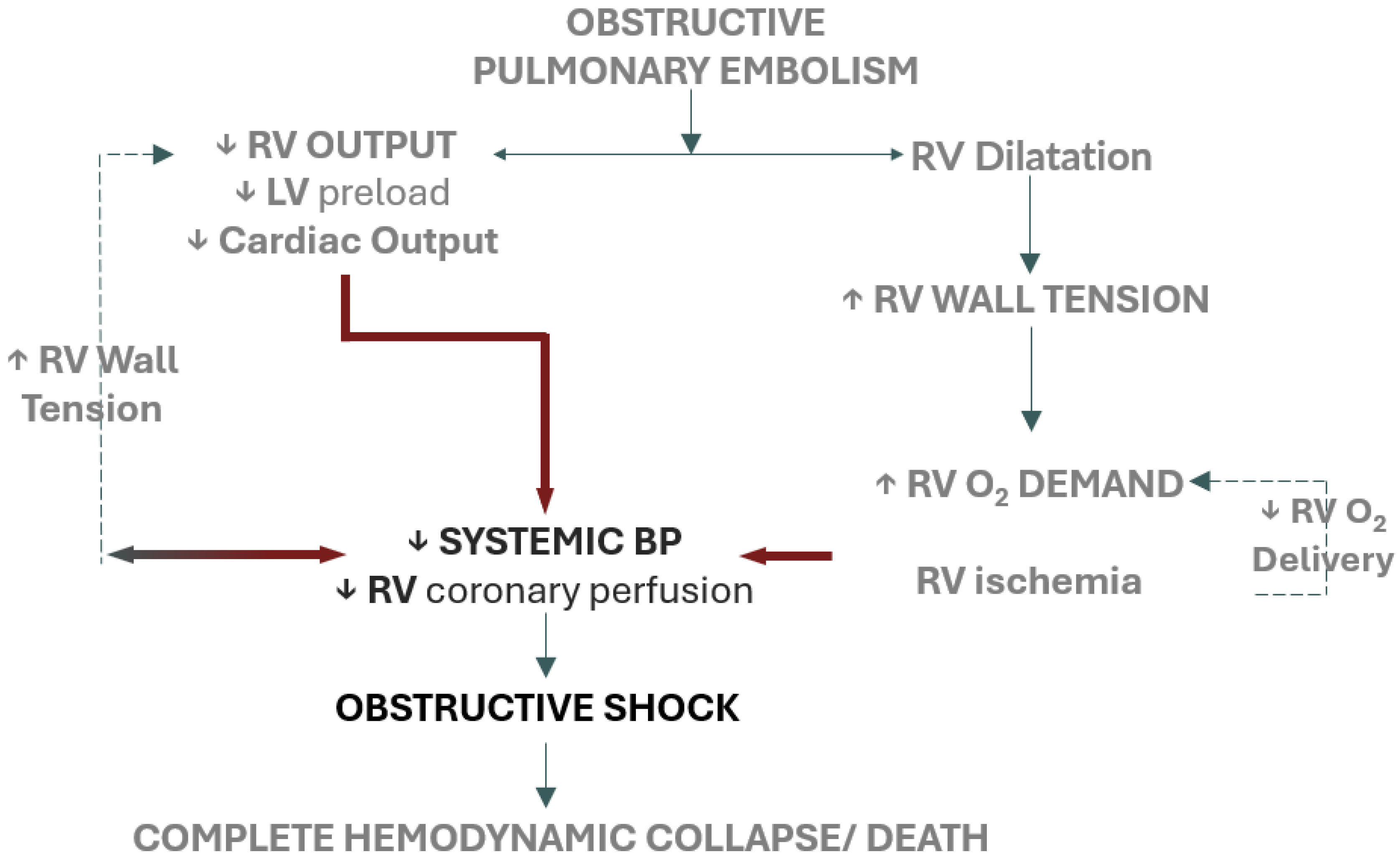 Healthcare 13 00227 g001