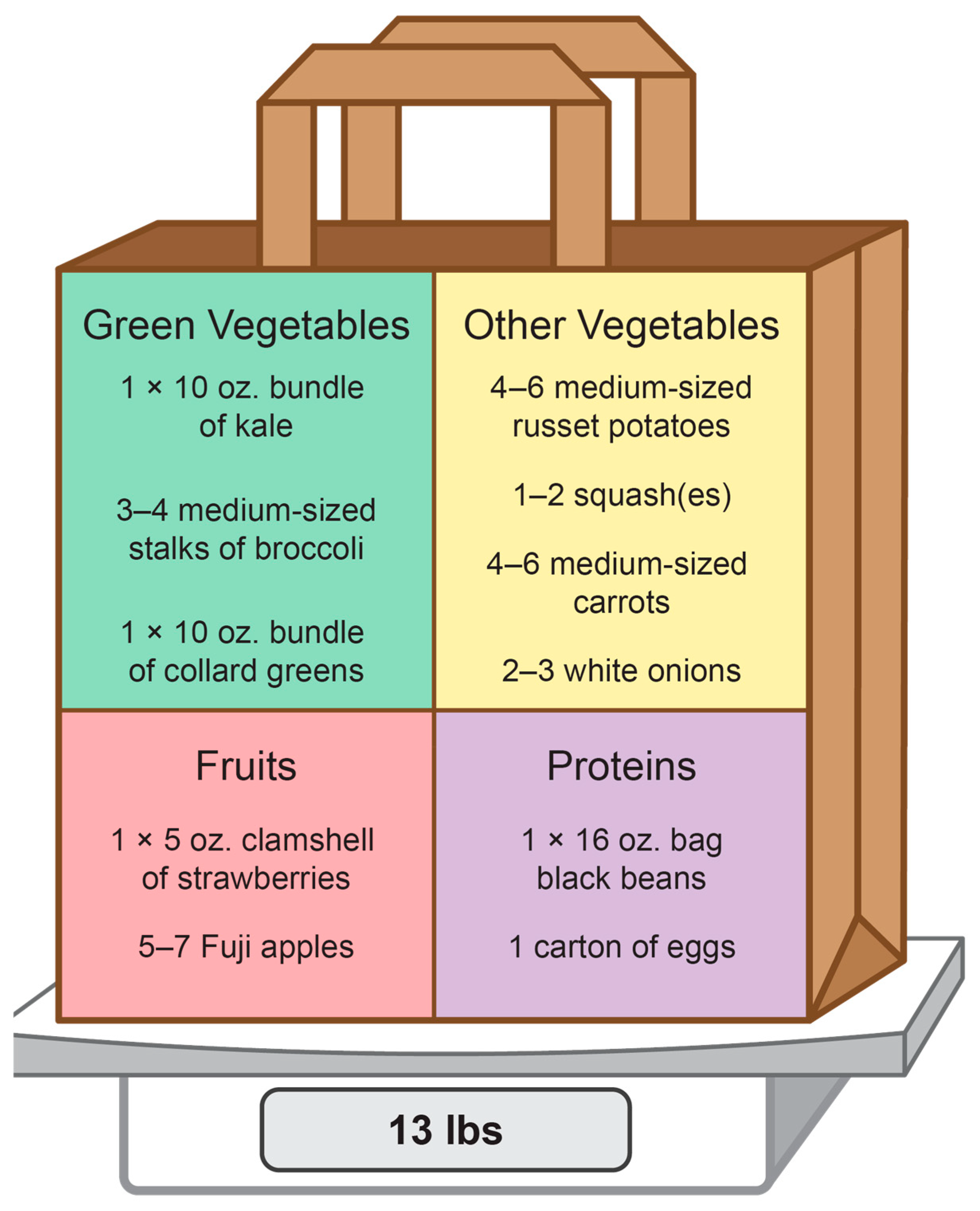 Healthcare 13 00253 g001
