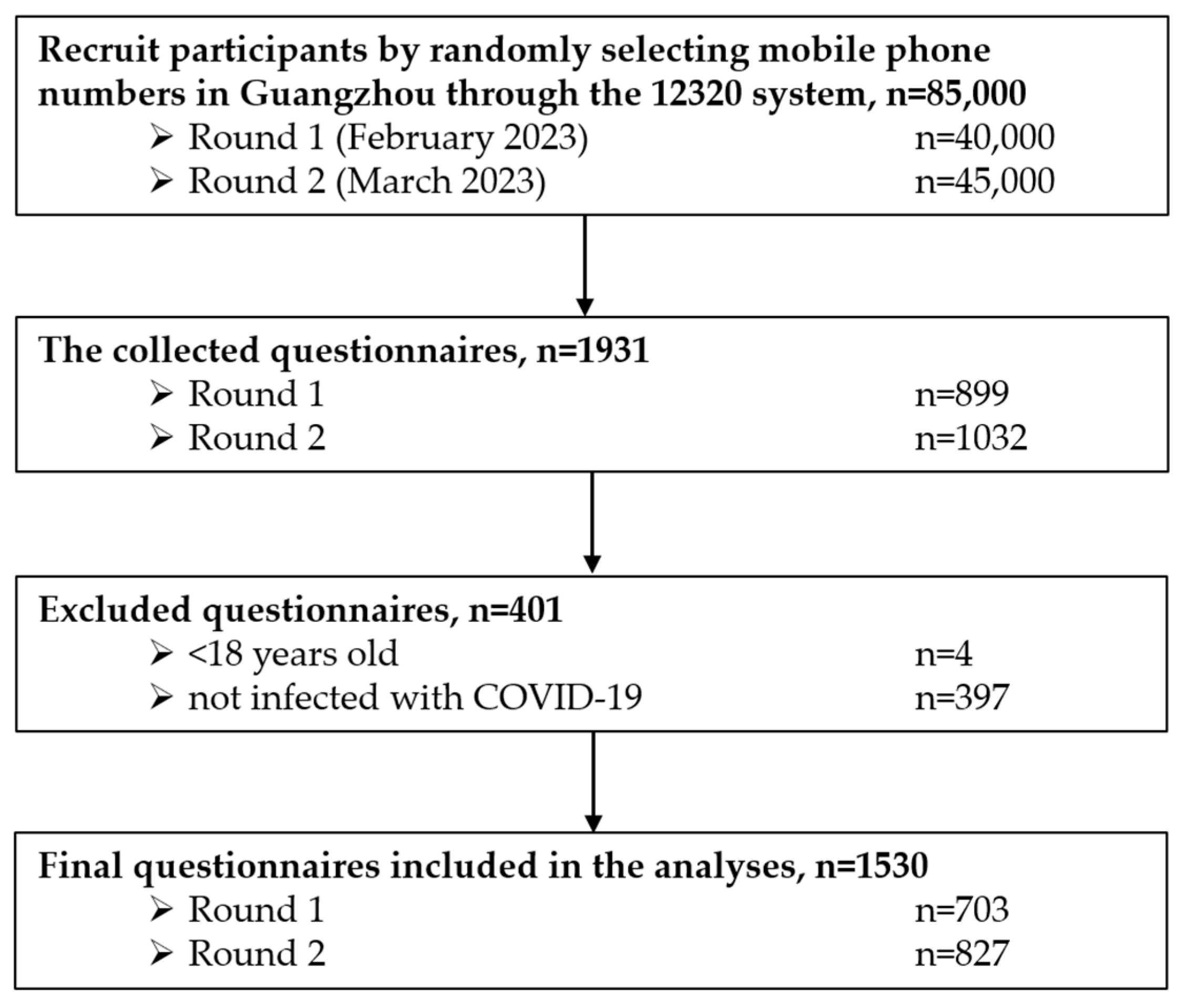 Healthcare 13 00262 g001