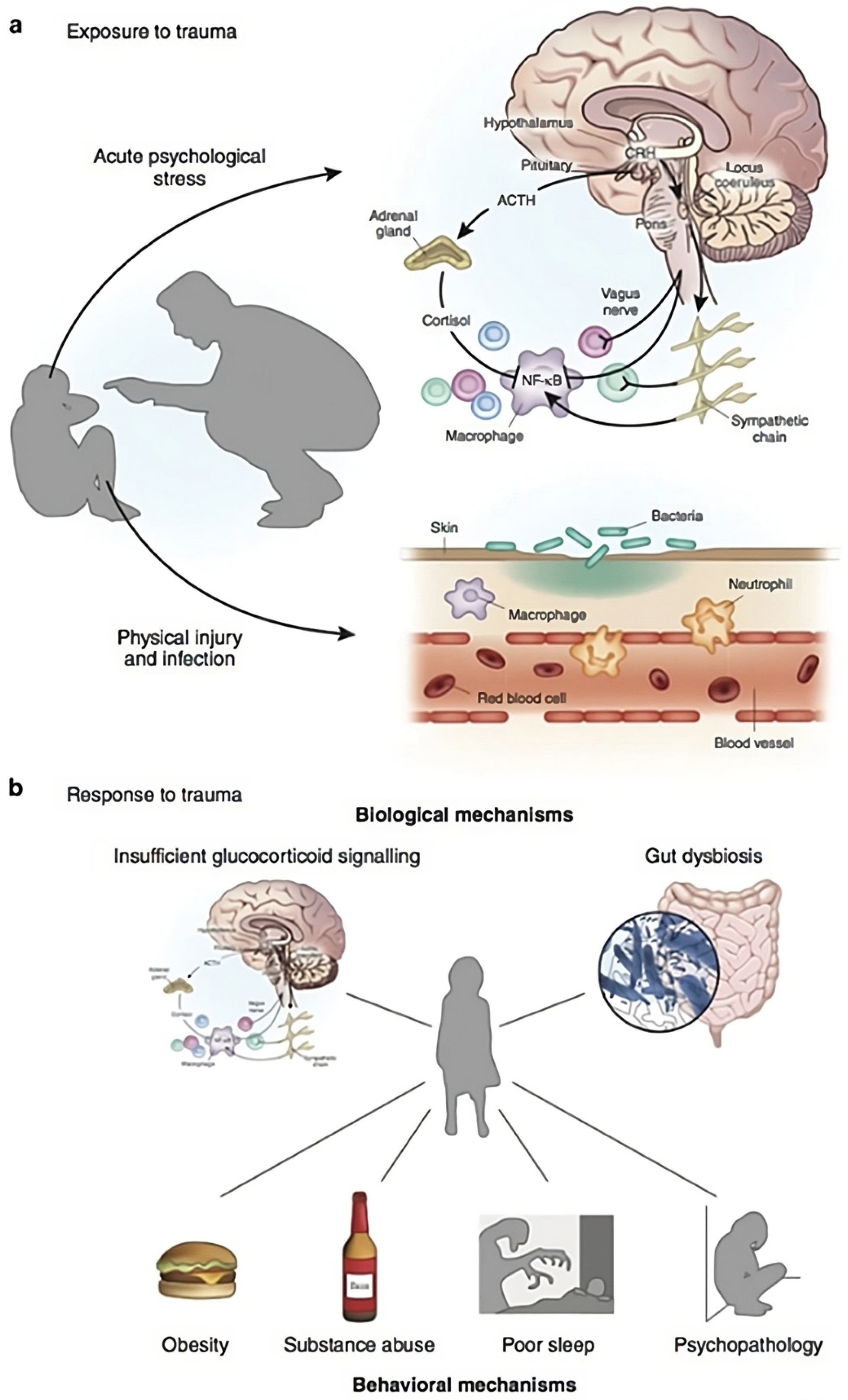 Healthcare 13 00280 g004