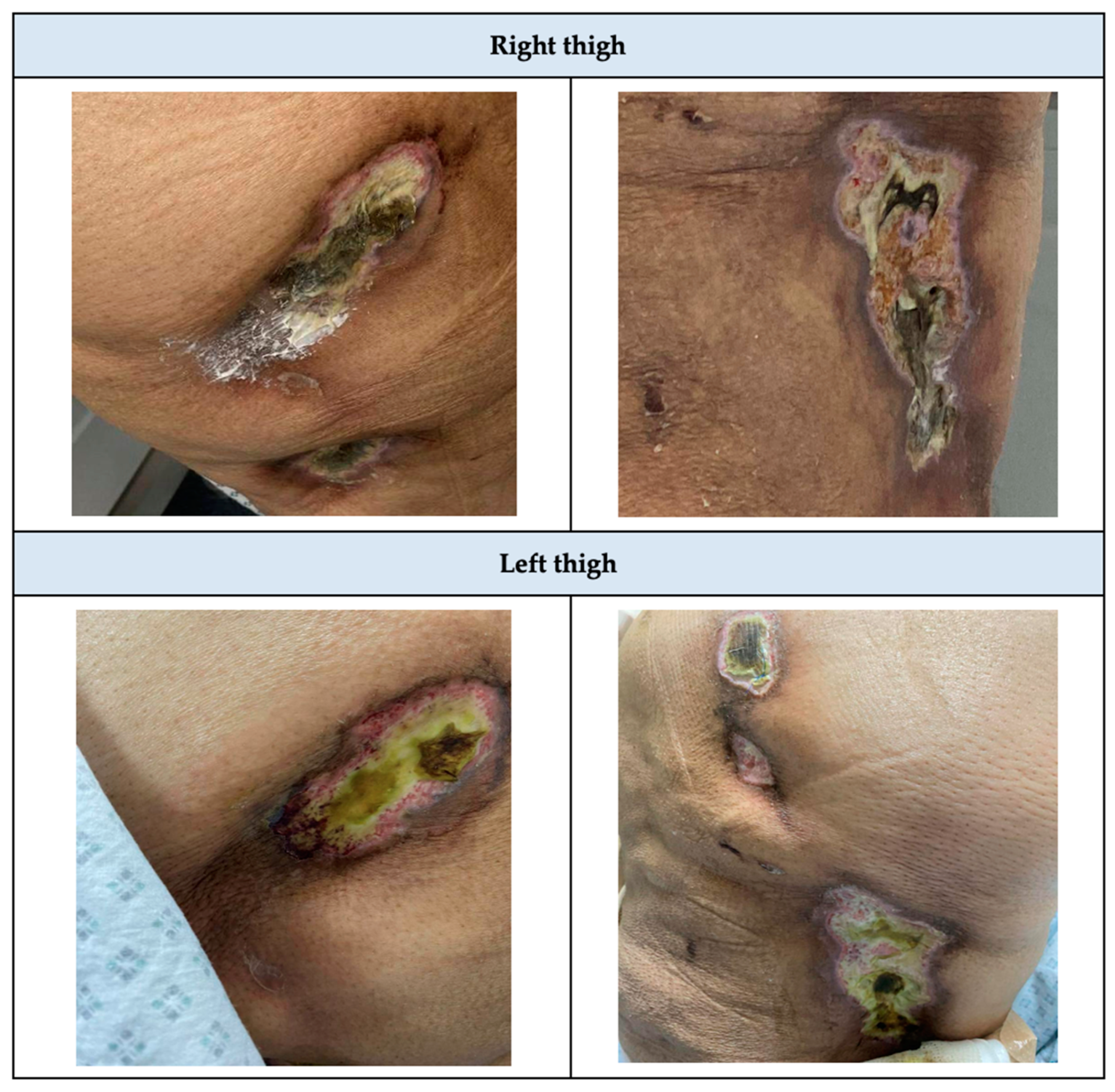 Healthcare 13 00282 g001