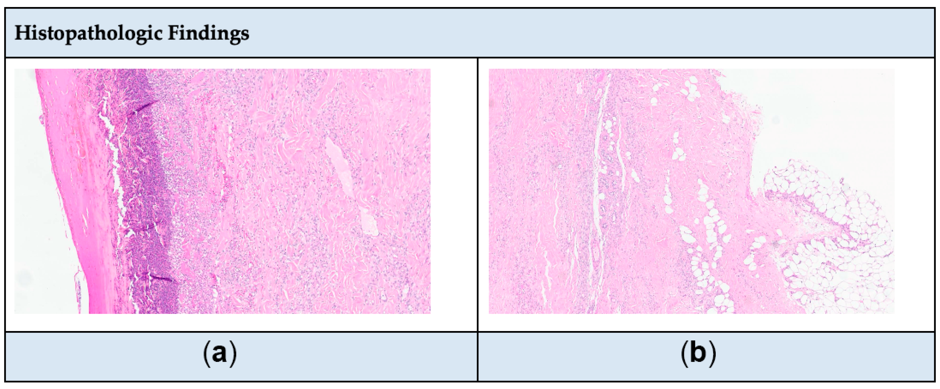 Healthcare 13 00282 g002