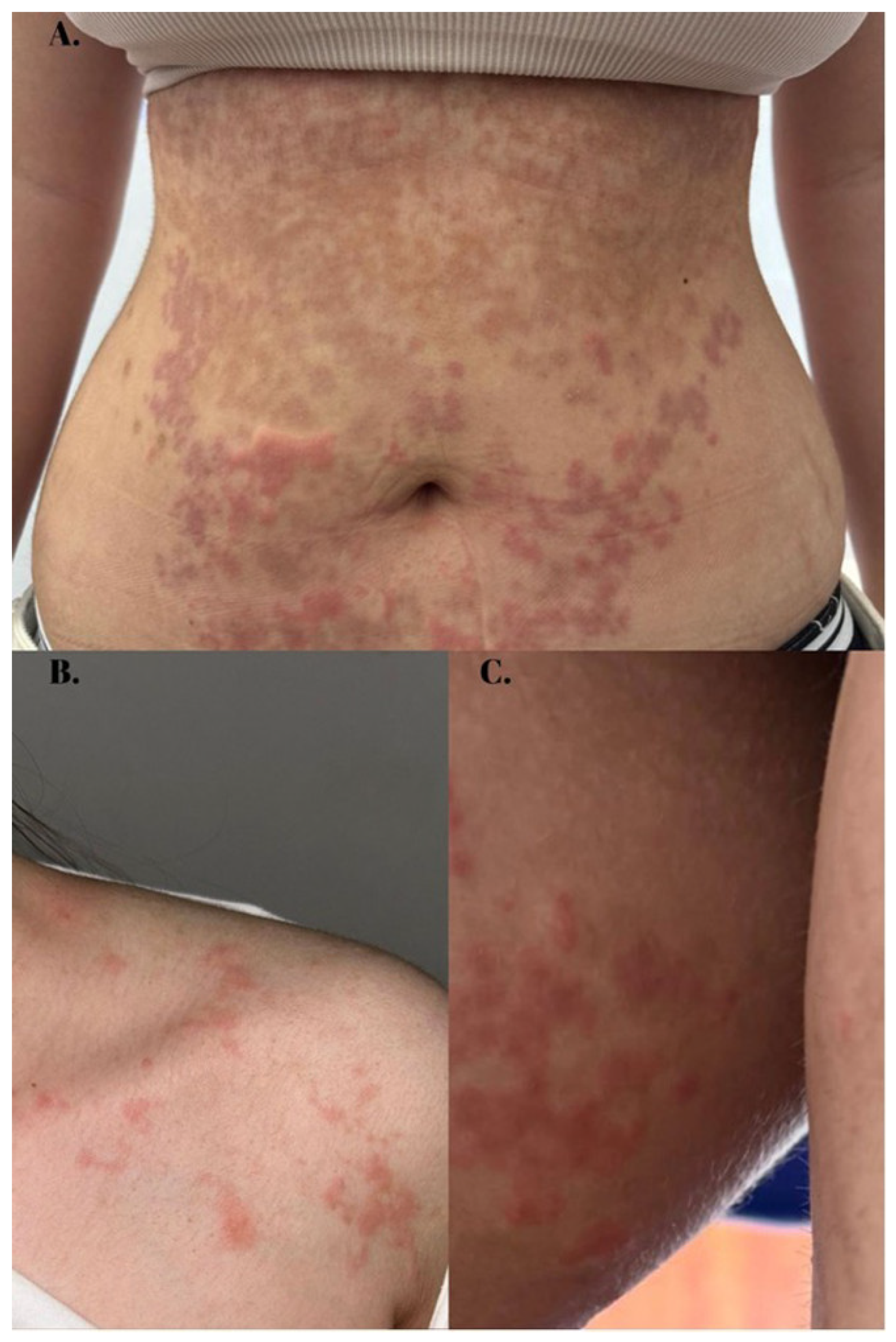 Healthcare 13 00300 g001