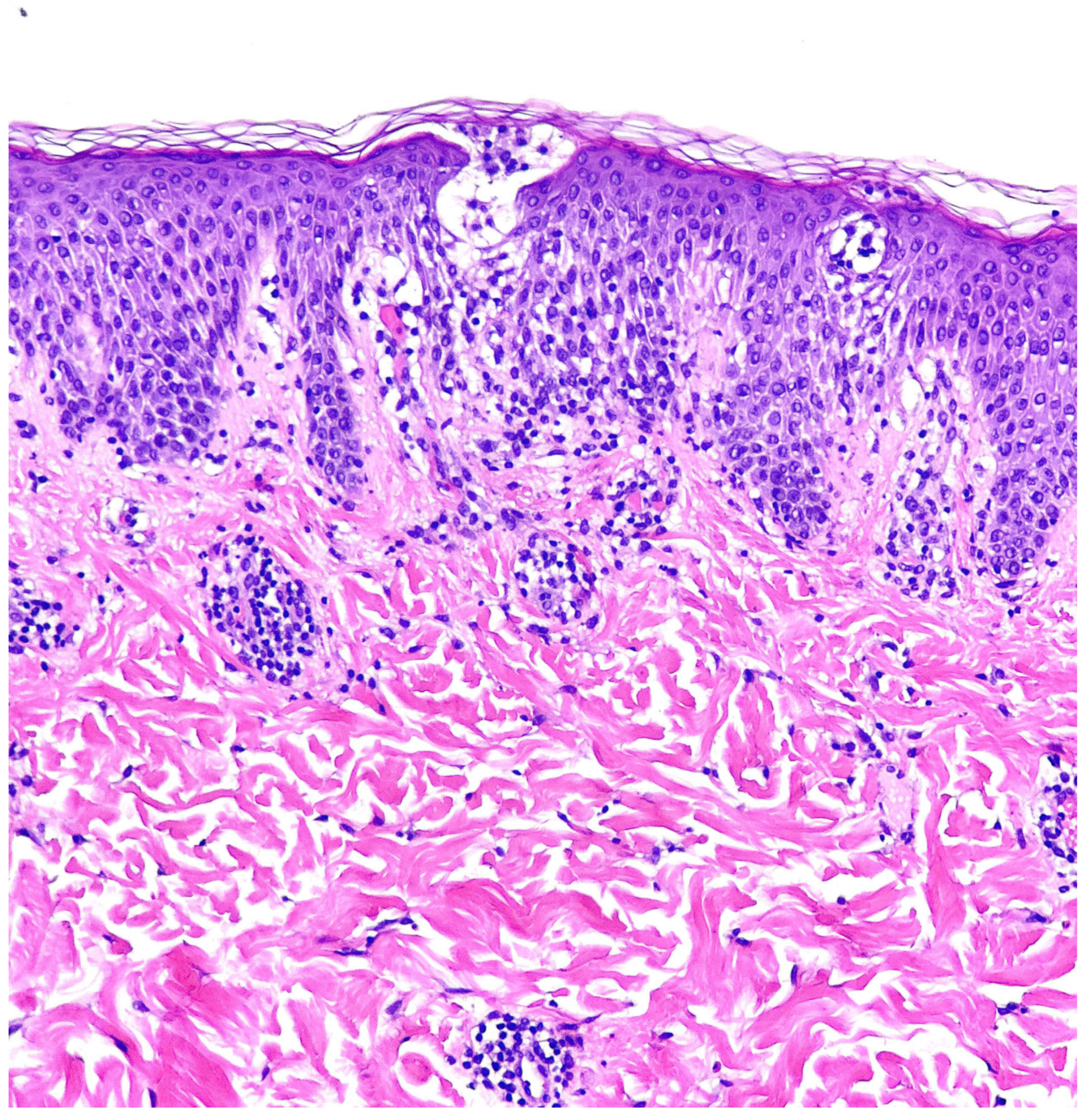 Healthcare 13 00300 g002