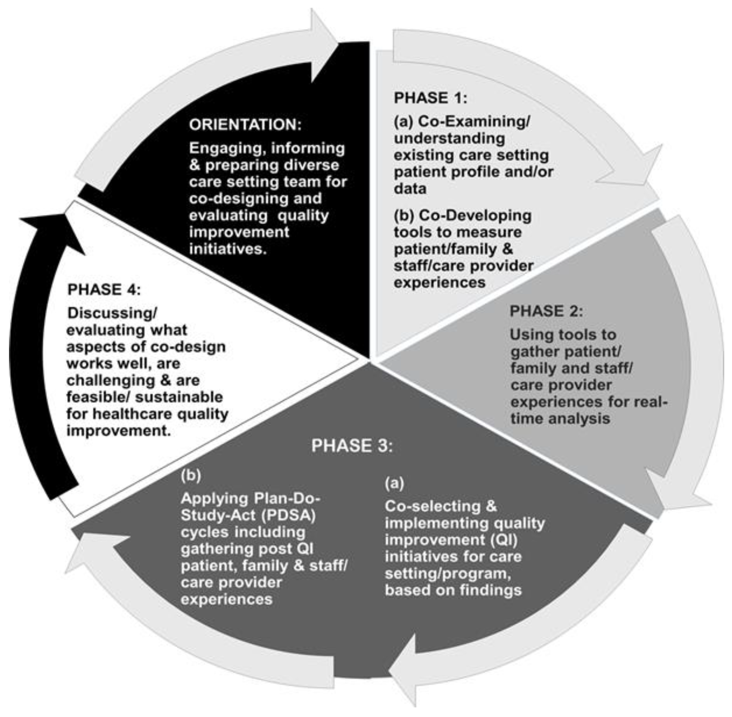 Healthcare 13 00311 g001