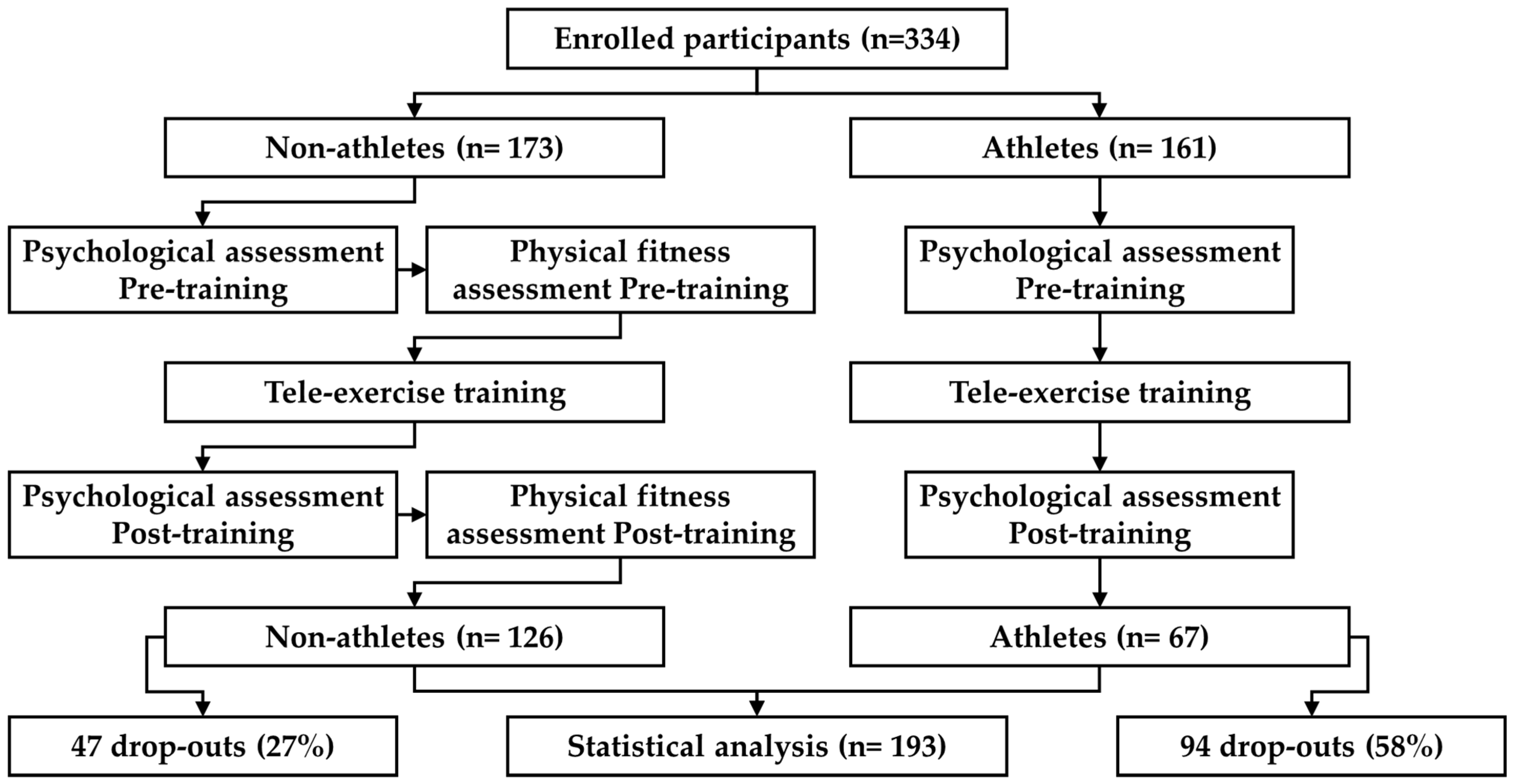 Healthcare 13 00354 g001