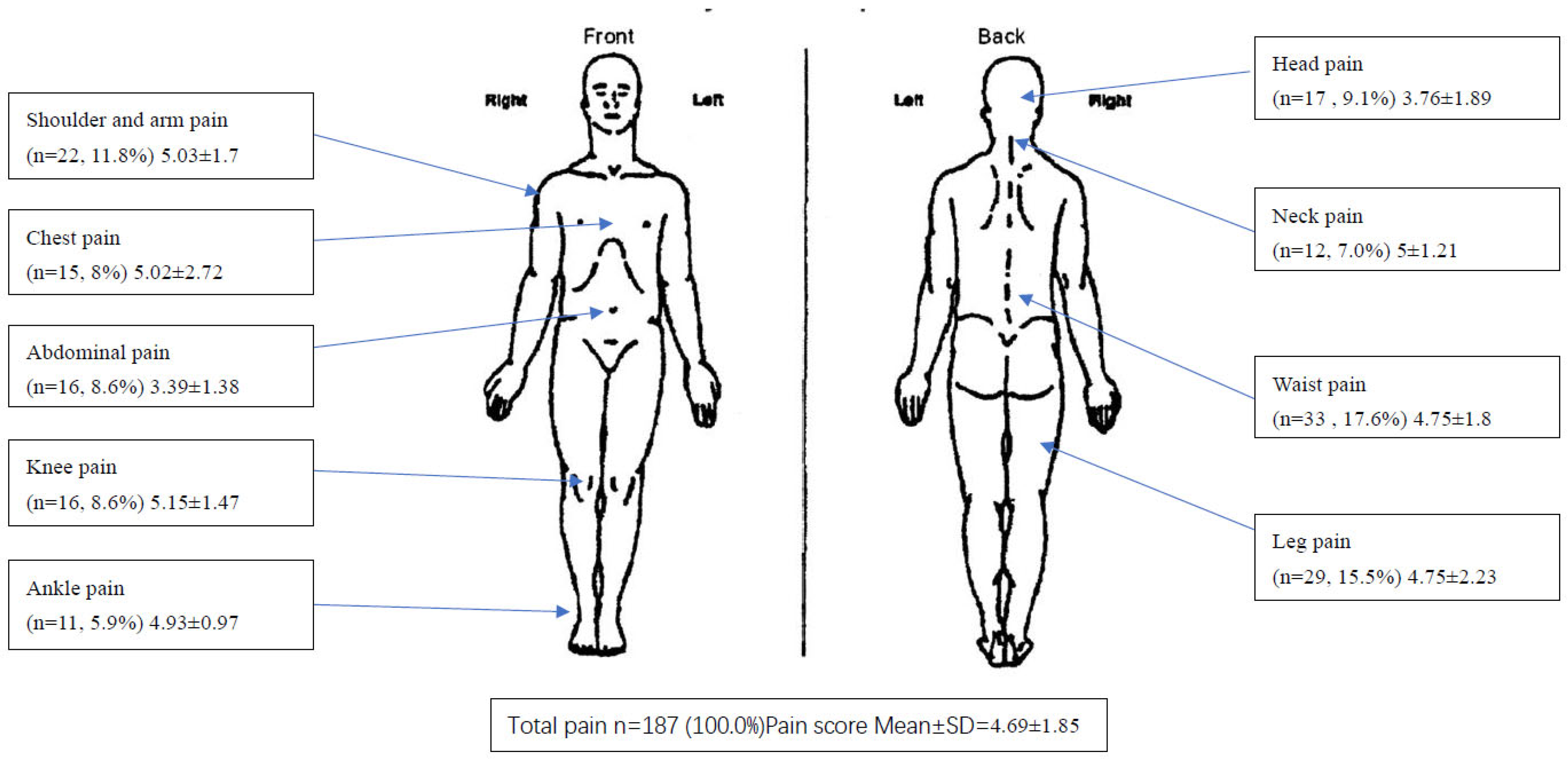 Healthcare 13 00384 g001