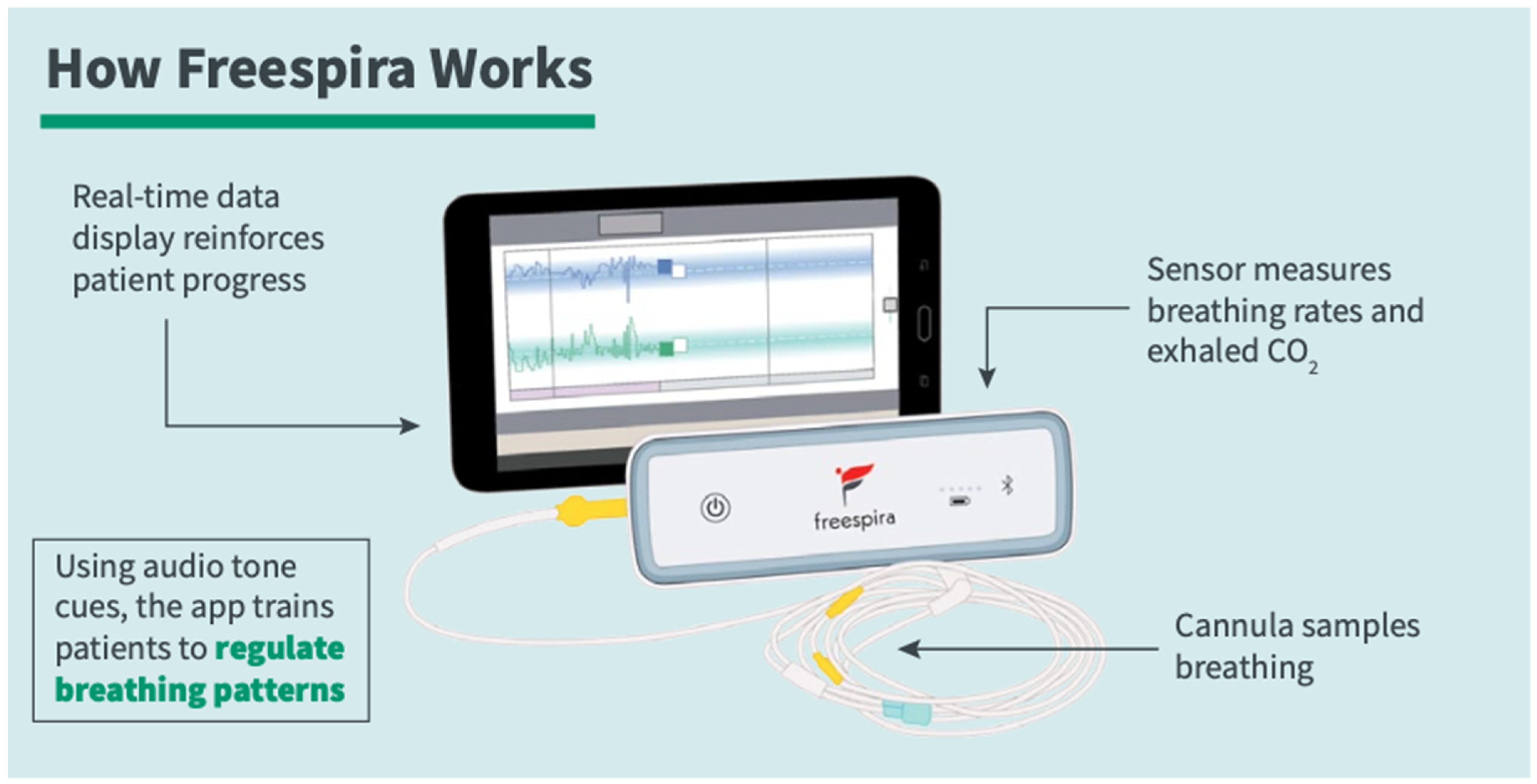 Healthcare 13 00390 g001