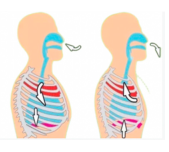 Healthcare 13 00410 i002