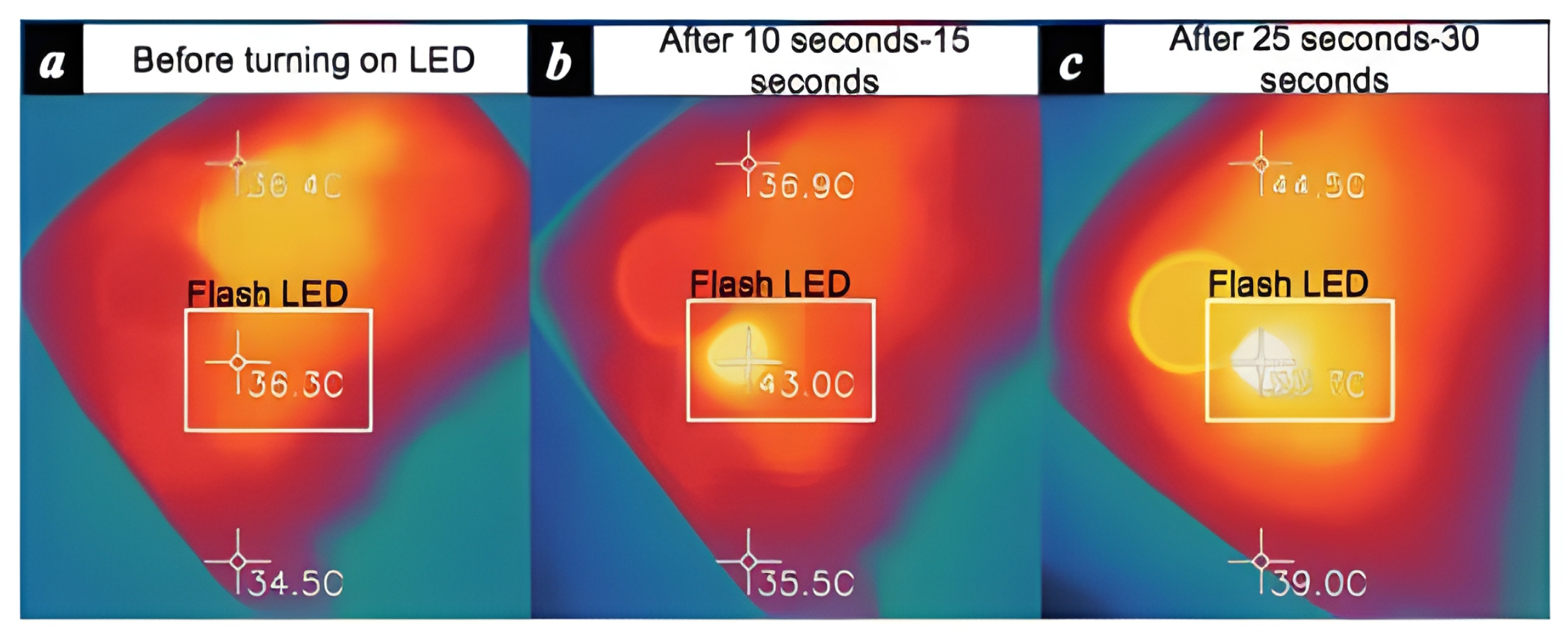 Healthcare 13 00411 g005