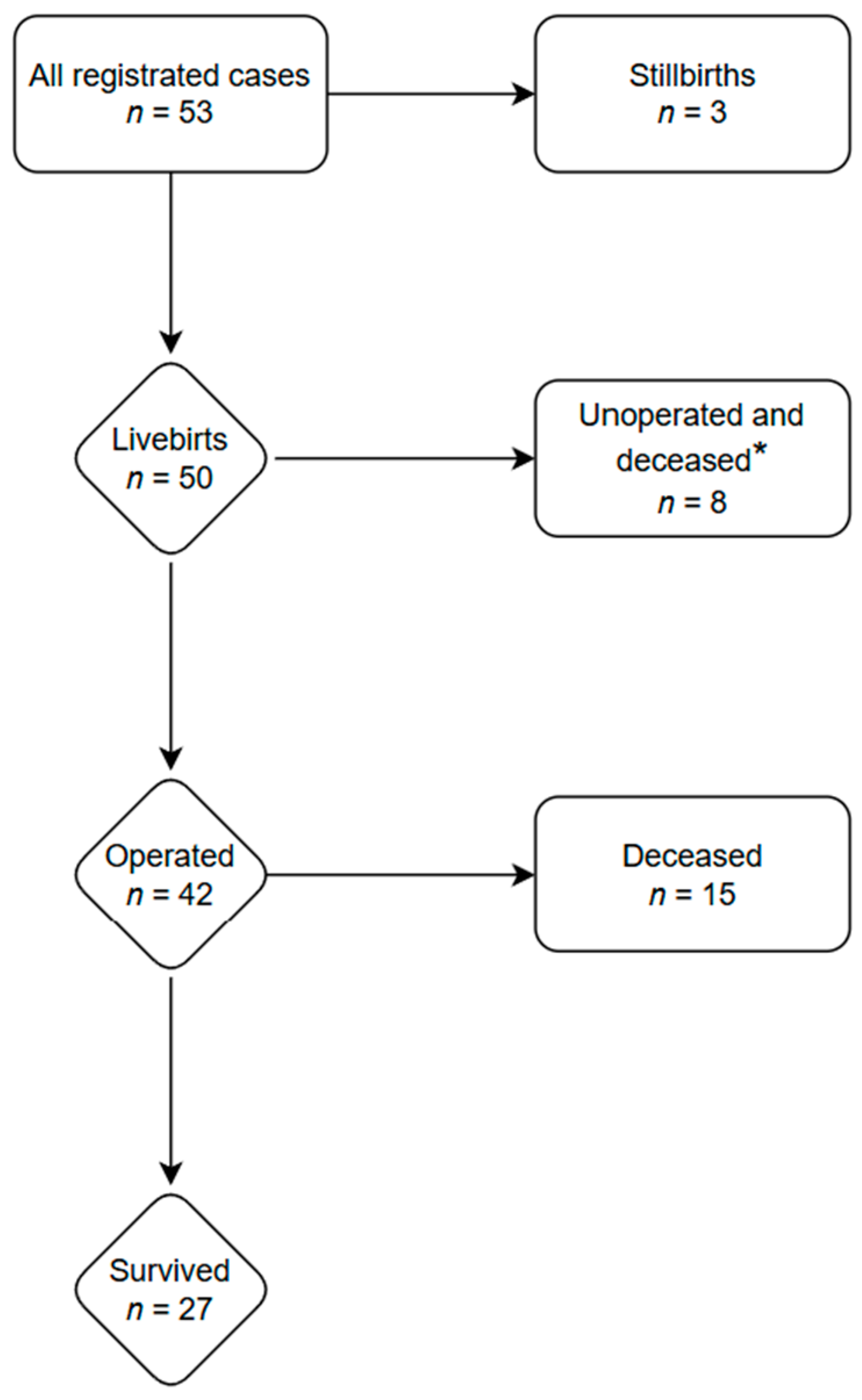 Healthcare 13 00418 g001