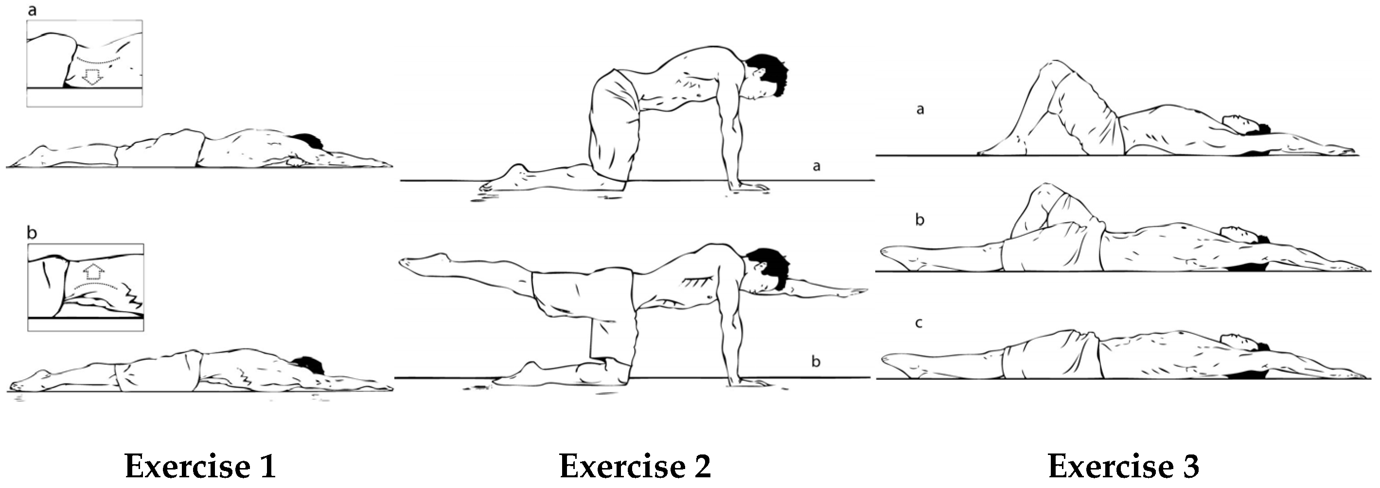 Healthcare 13 00457 g002