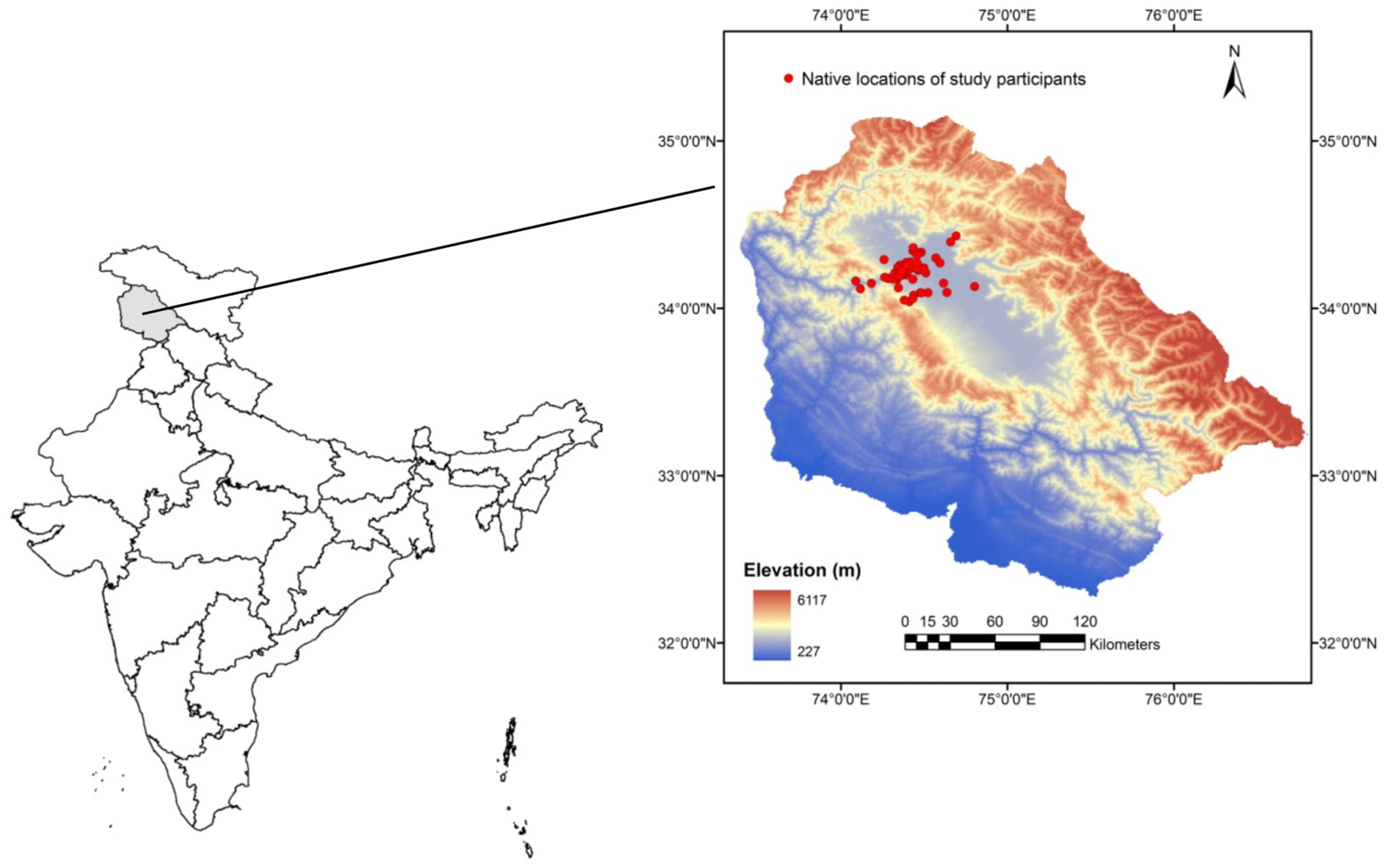 Healthcare 13 00458 g001