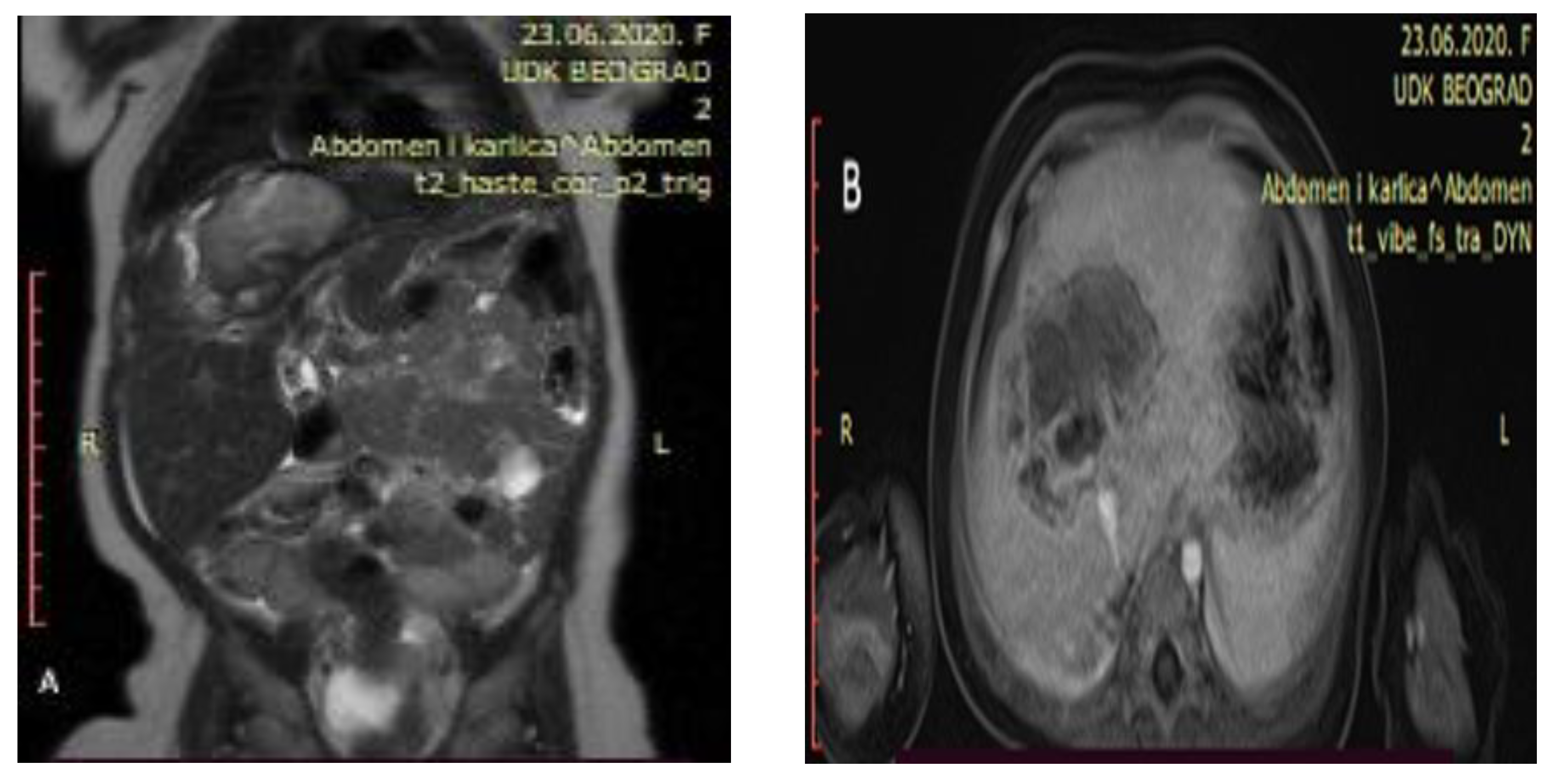 Healthcare 13 00460 g003