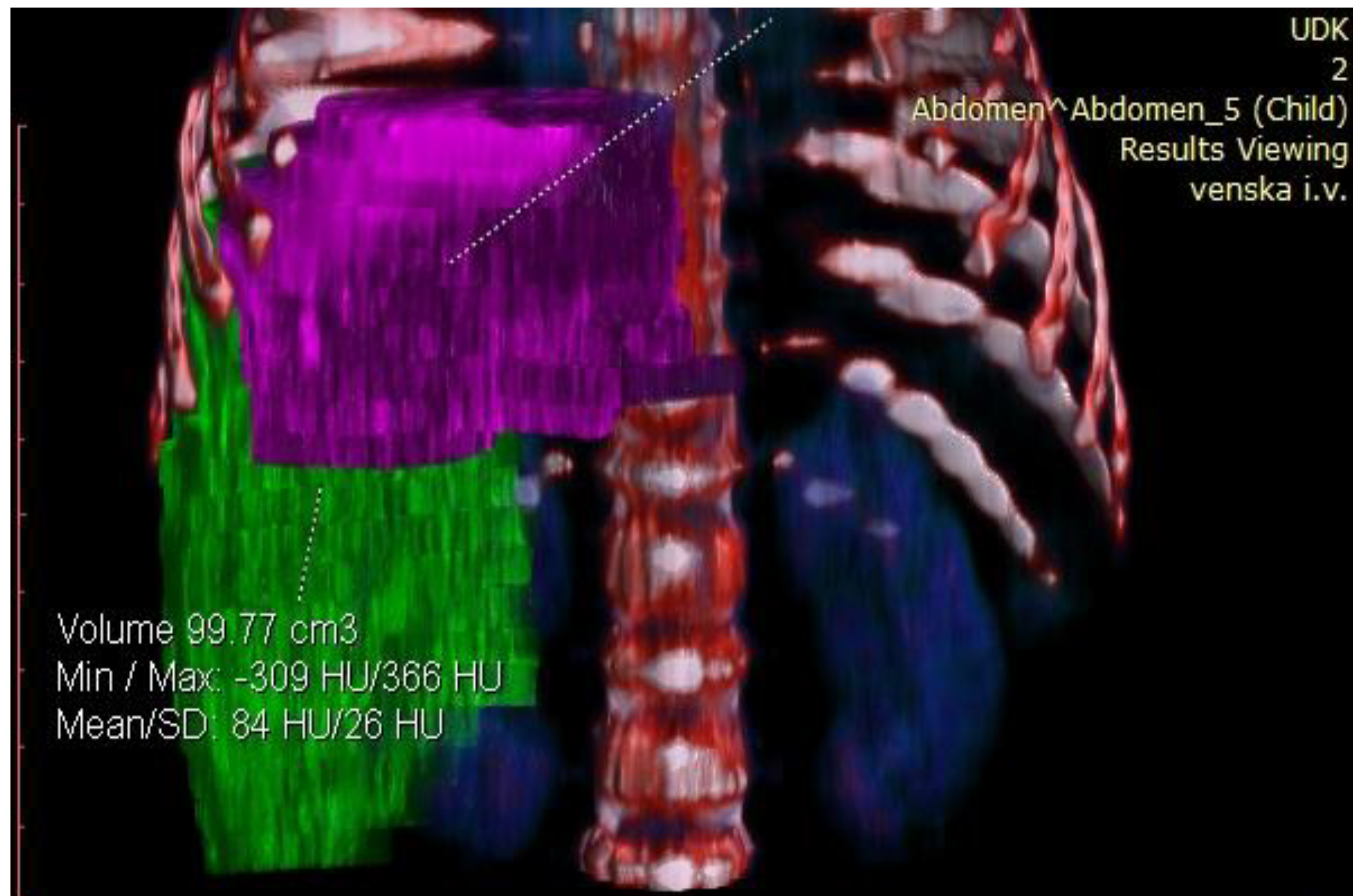 Healthcare 13 00460 g005
