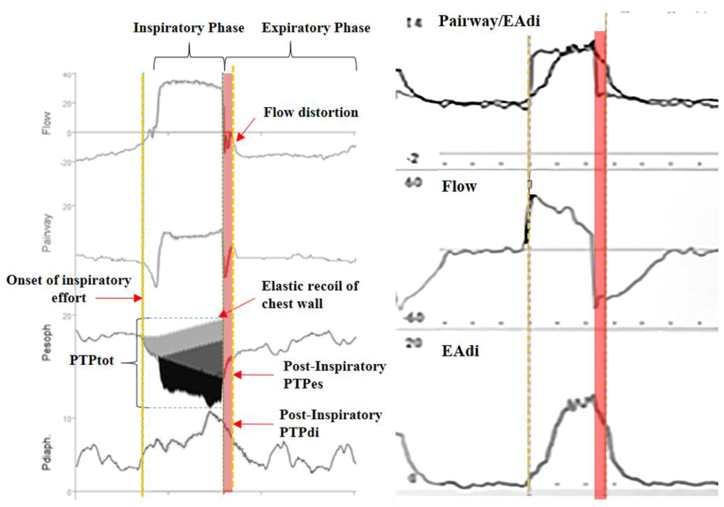 Healthcare 13 00565 g001