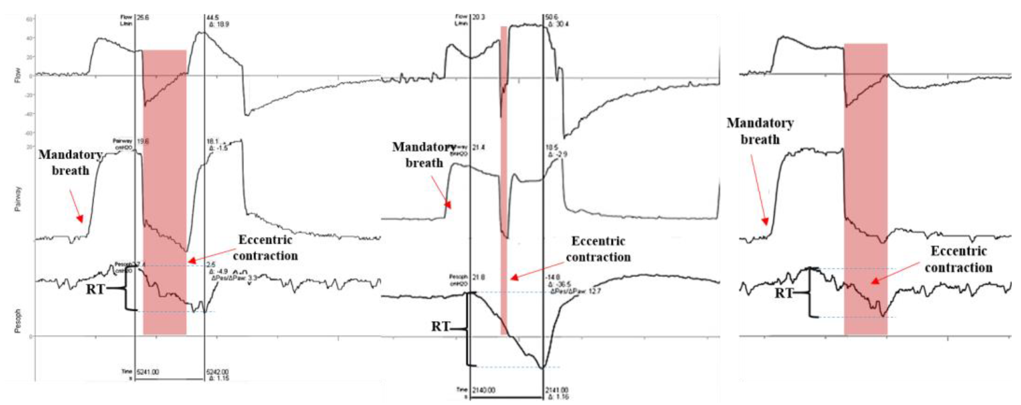 Healthcare 13 00565 g002