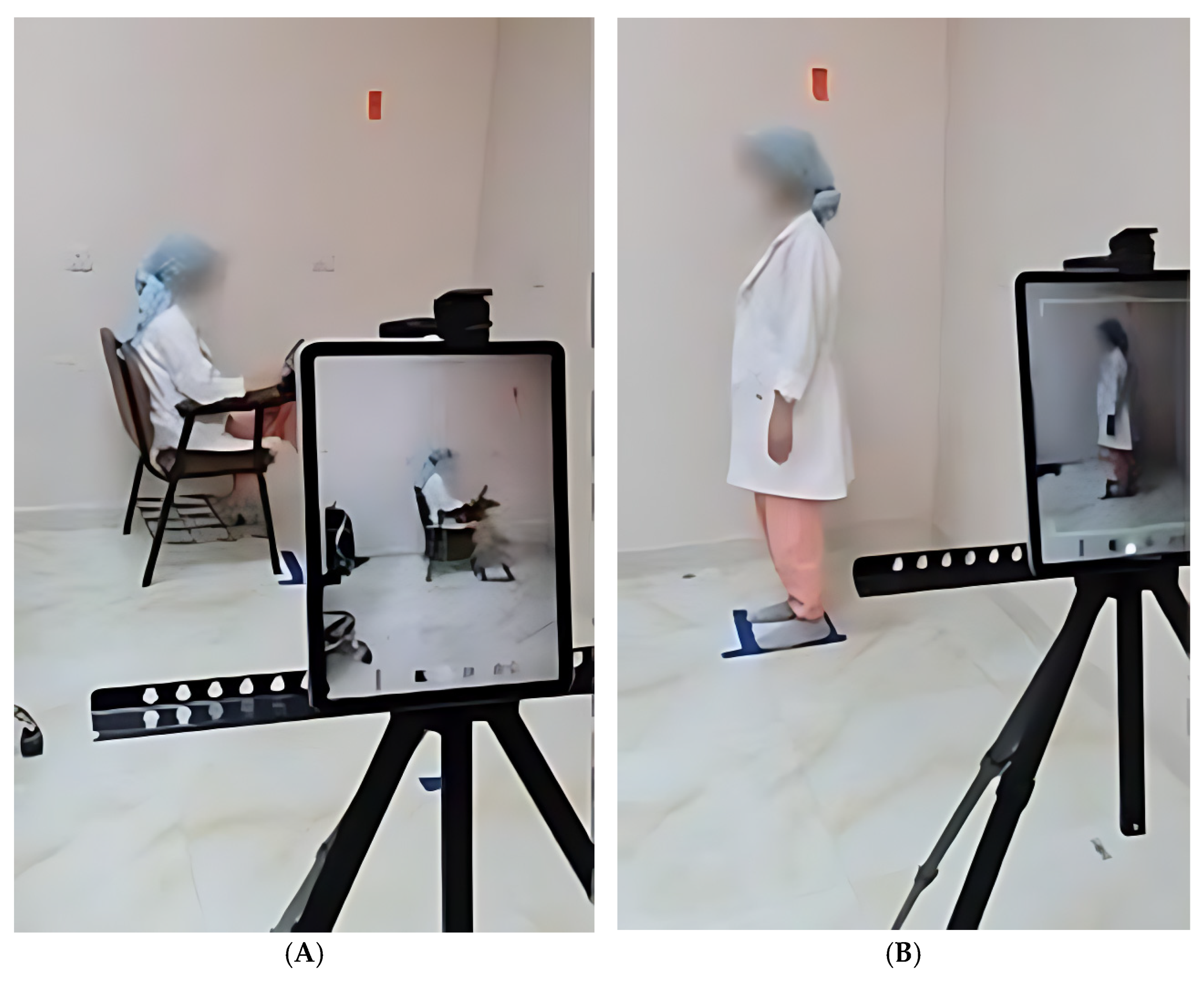 Healthcare 13 00651 g004