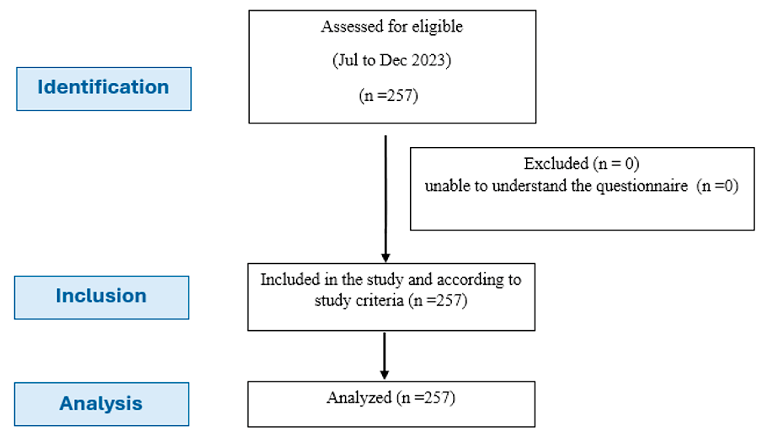 Healthcare 13 00678 g001